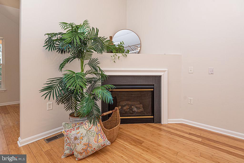 OCEAN PINES - THE PARKE - Residential