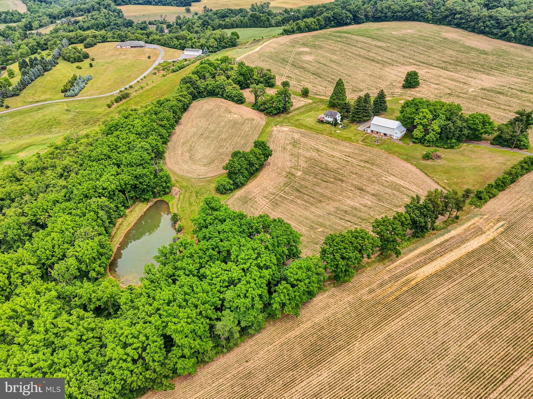 NONE AVAILABLE - Farm