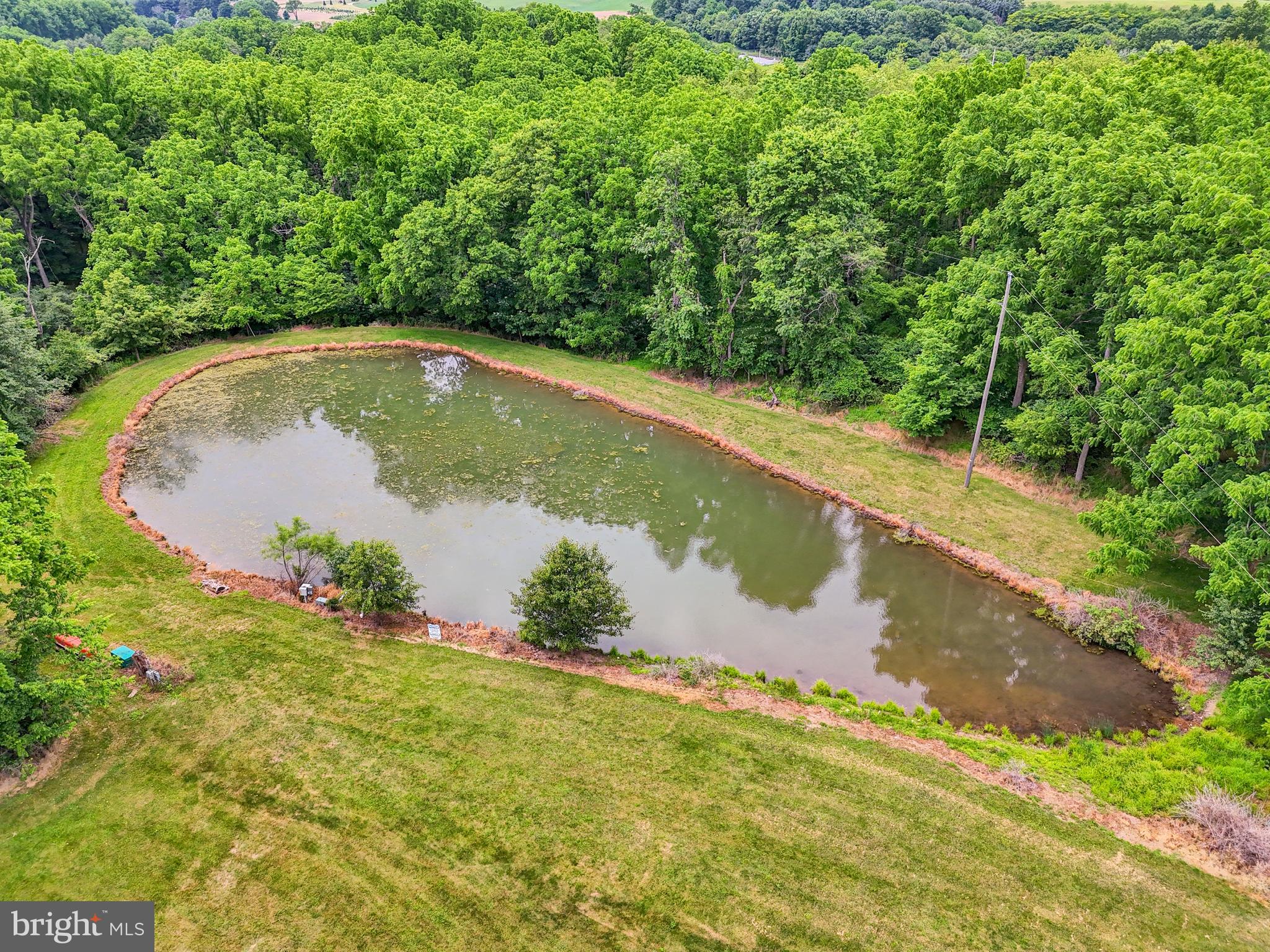 NONE AVAILABLE - Farm