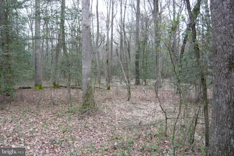 MLS: MDCM2007270