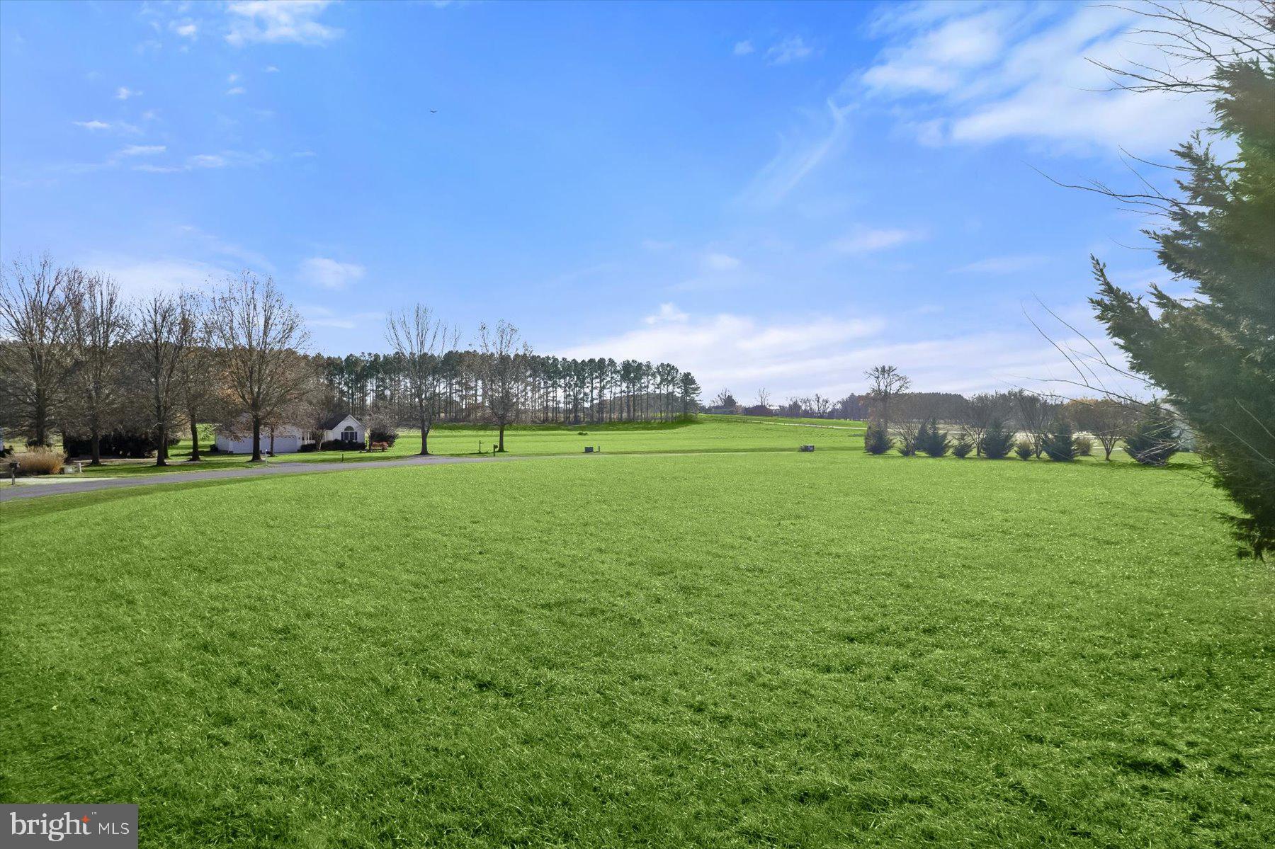 LITTLE NECK FARM - Land