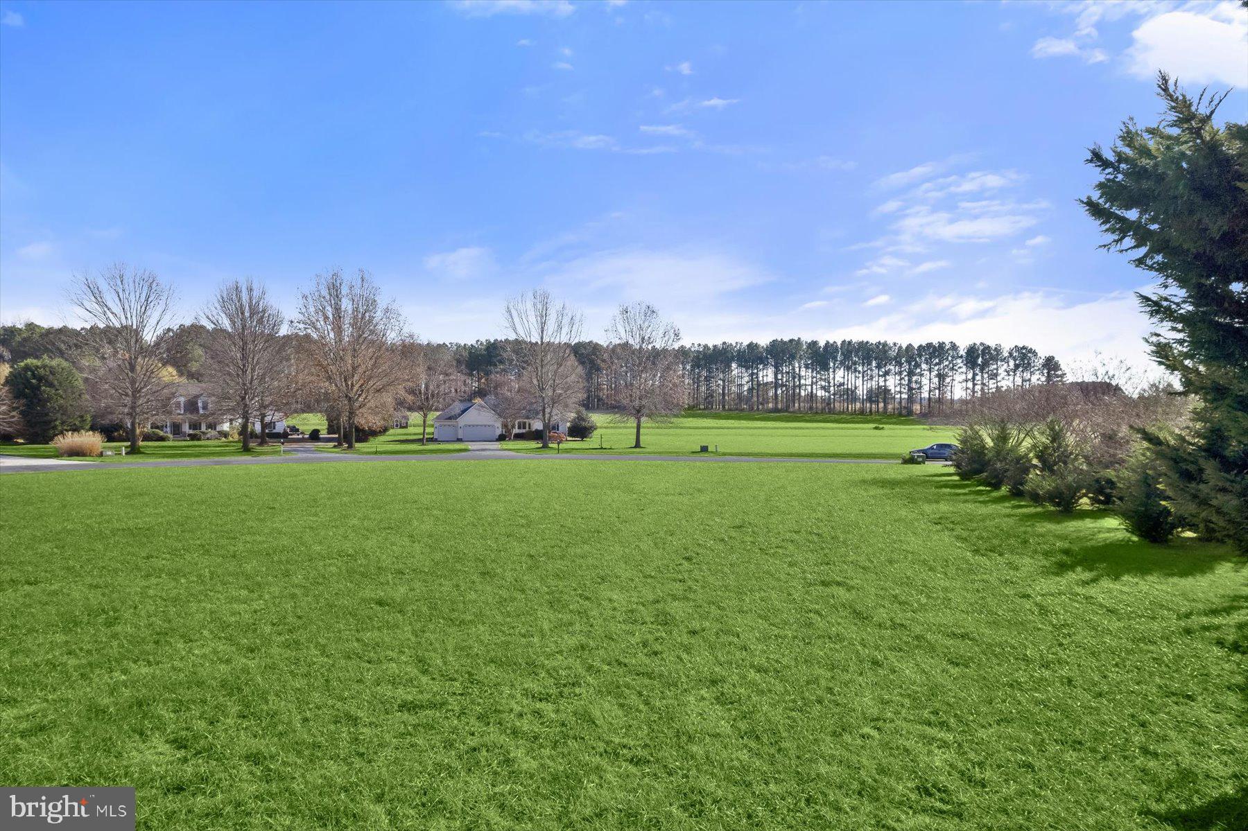 LITTLE NECK FARM - Land