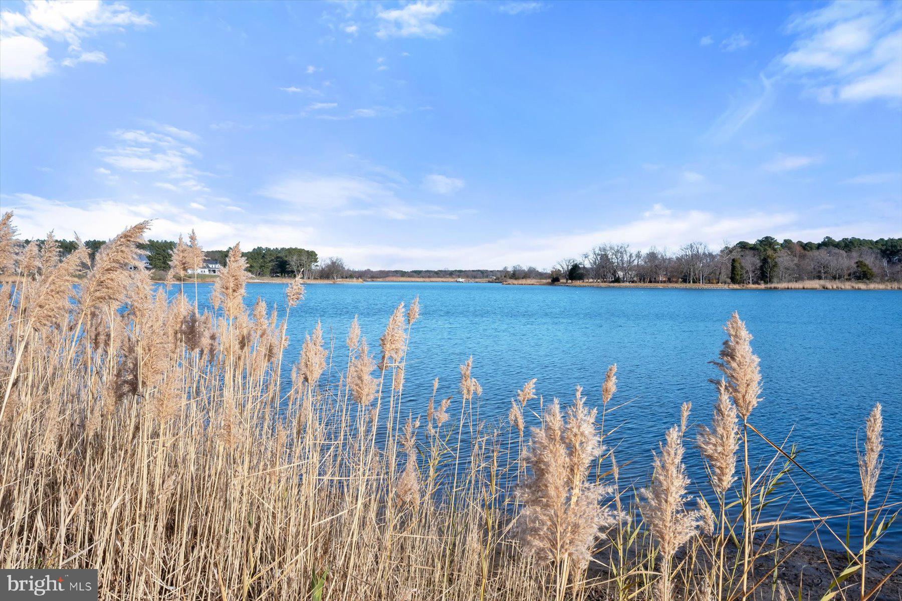 LITTLE NECK FARM - Land