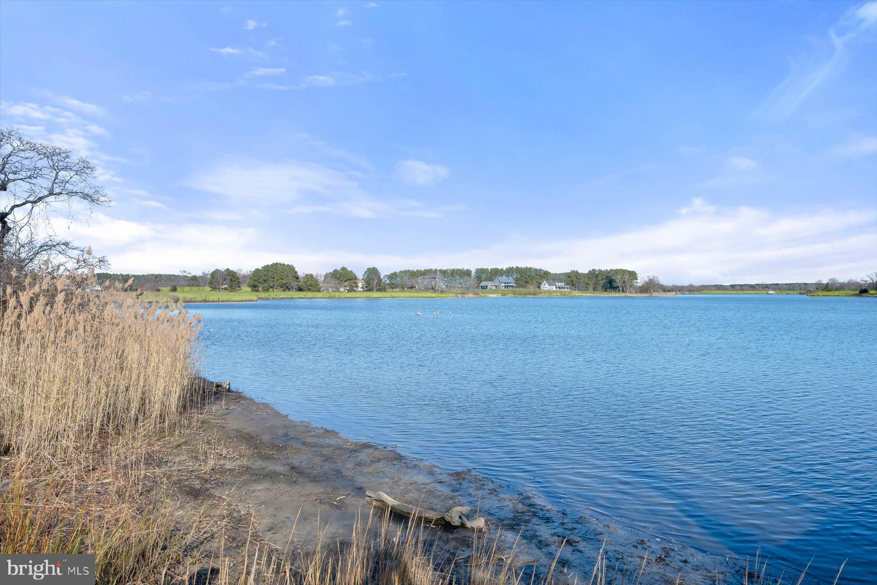 LITTLE NECK FARM - Land