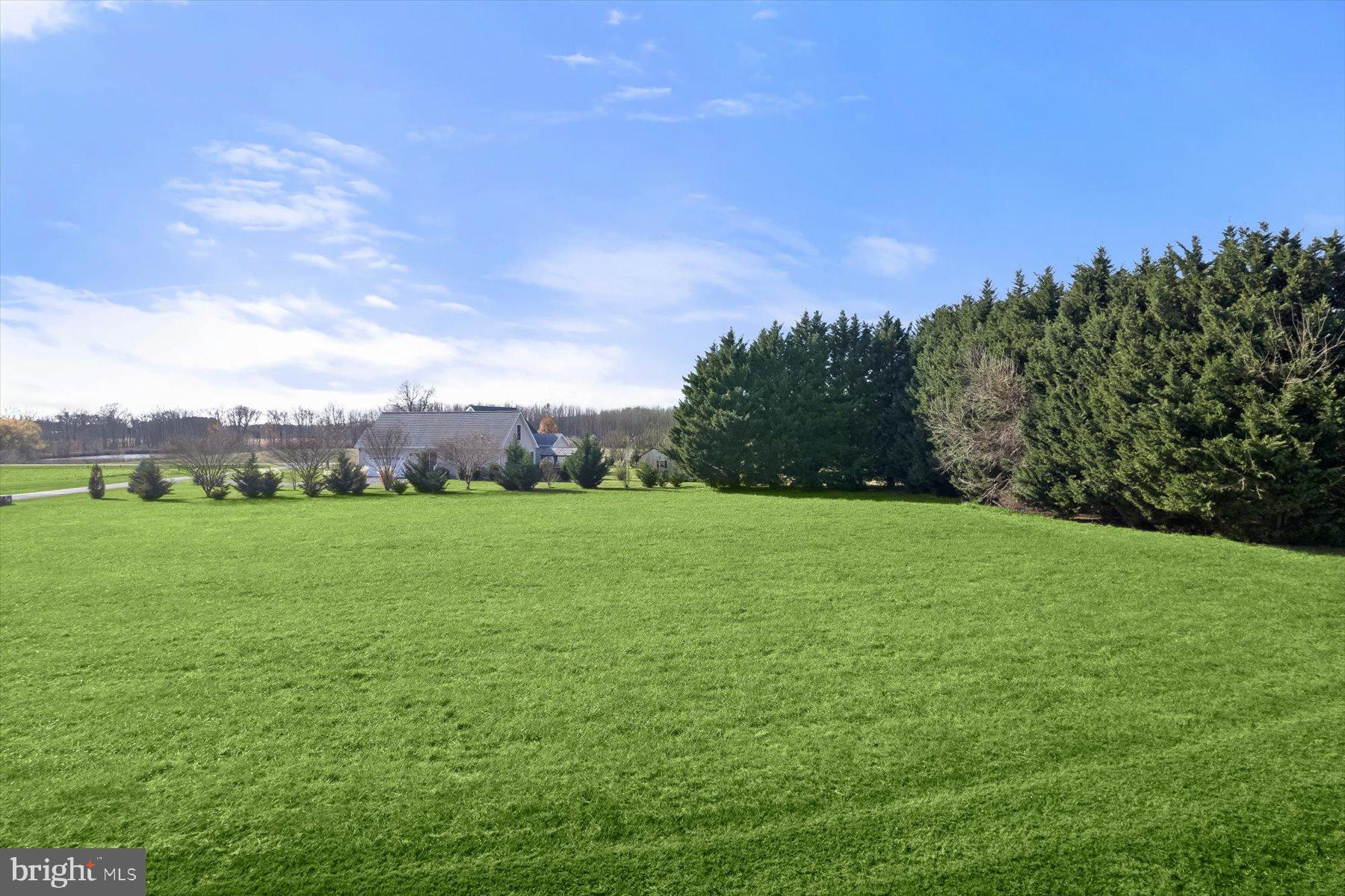 LITTLE NECK FARM - Land