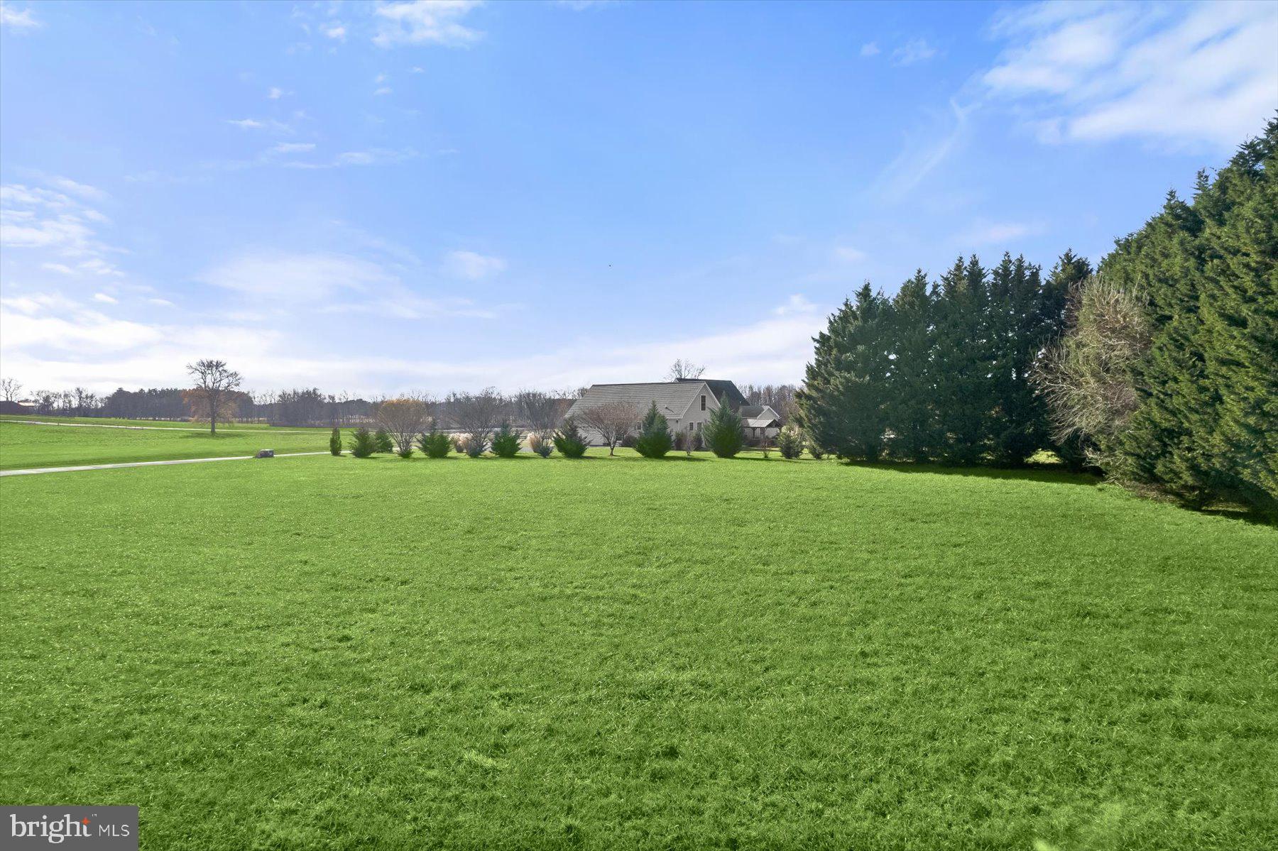 LITTLE NECK FARM - Land