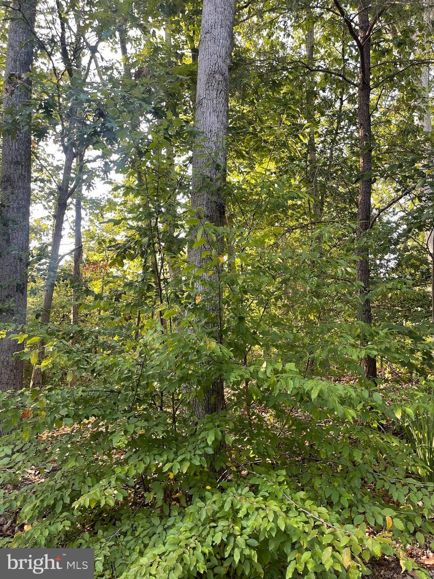 Enoy amenities such as community boat ramp on Mill creek and a private beach on the Chesapeake Bay.