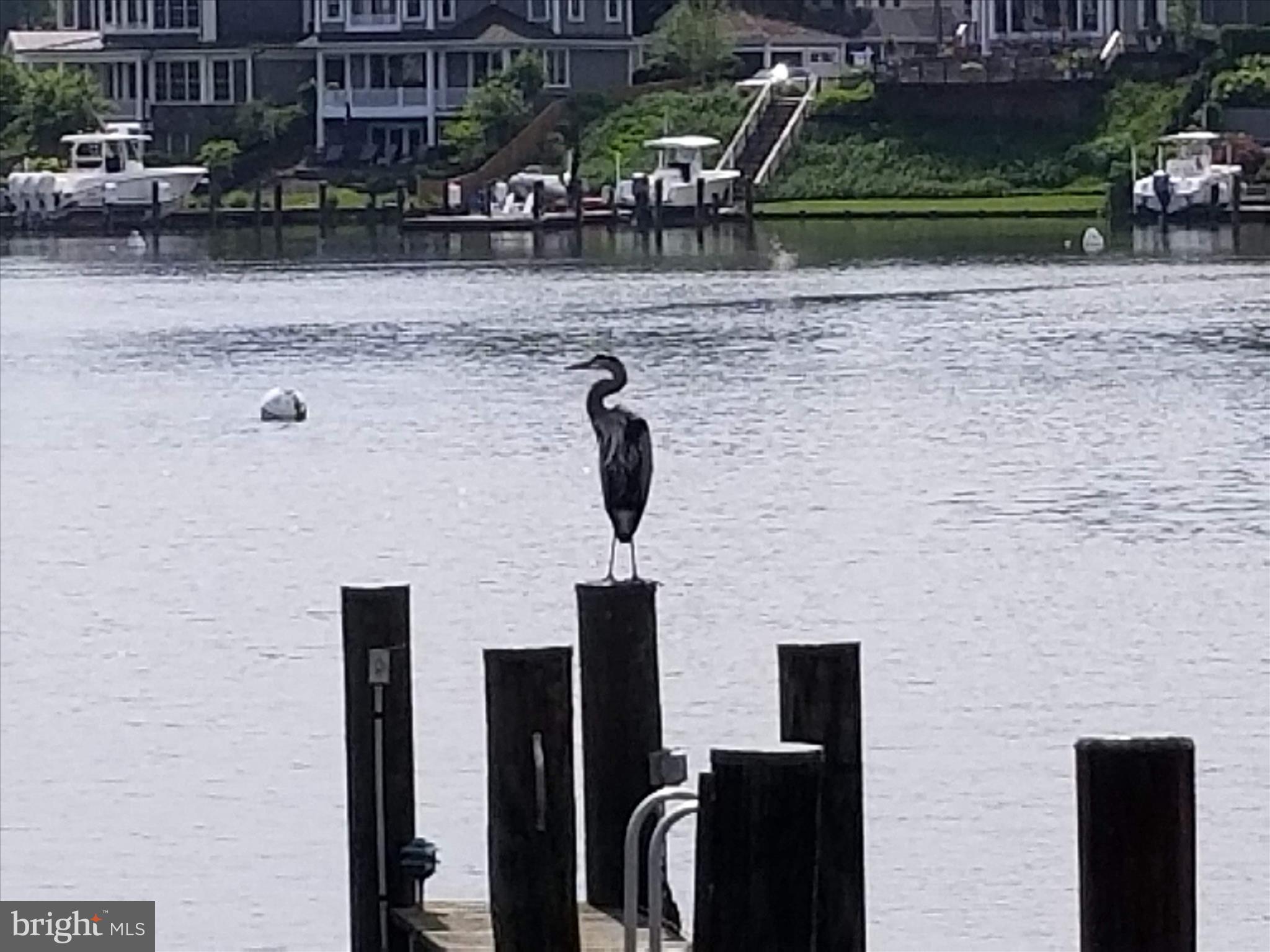 SOUTHGATE HARBOR - Residential