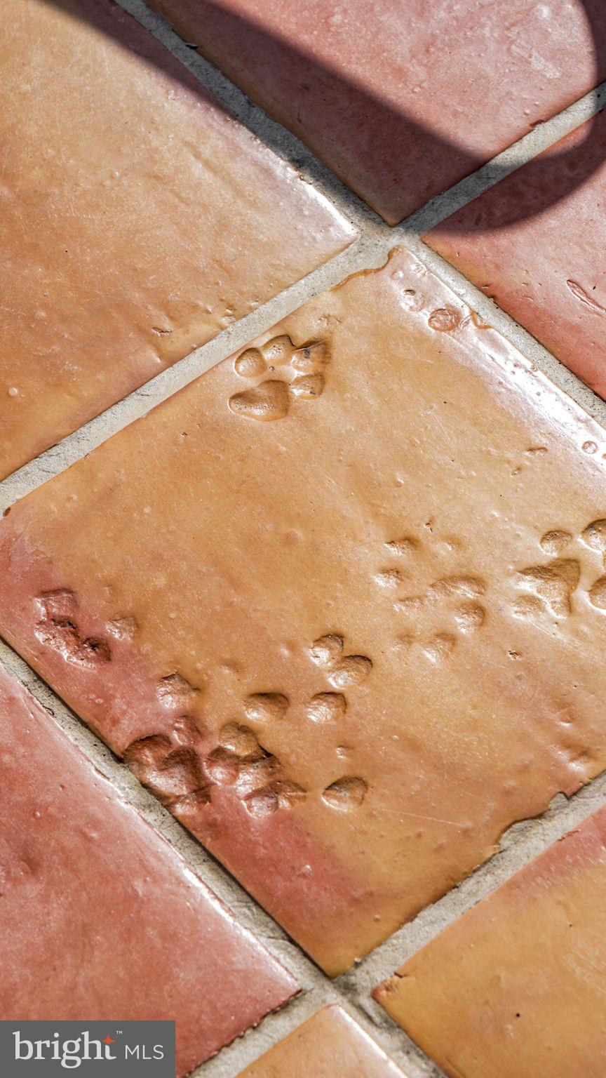 MARSHALL, VA - Residential