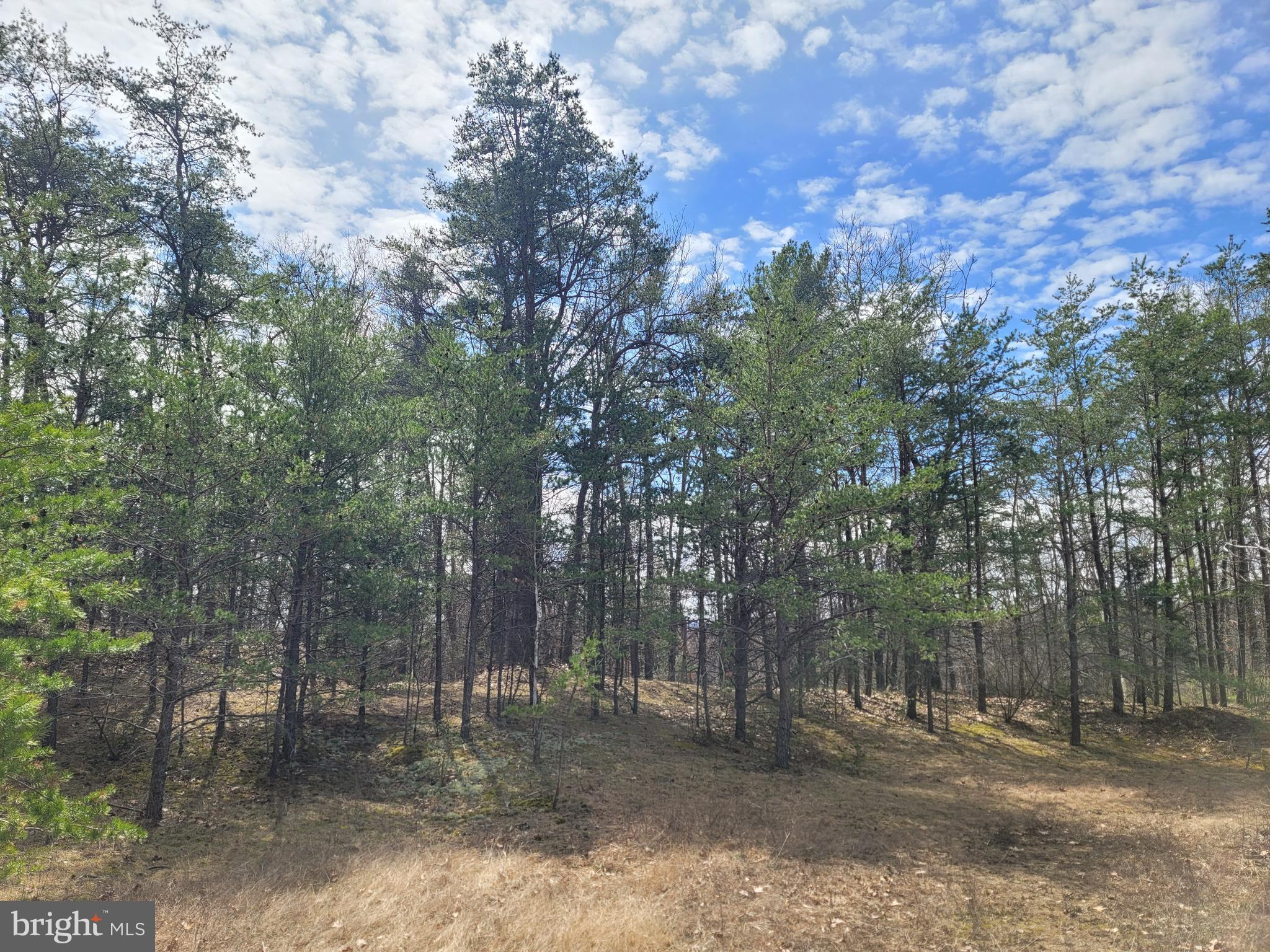 SULPHUR SPRINGS ROAD