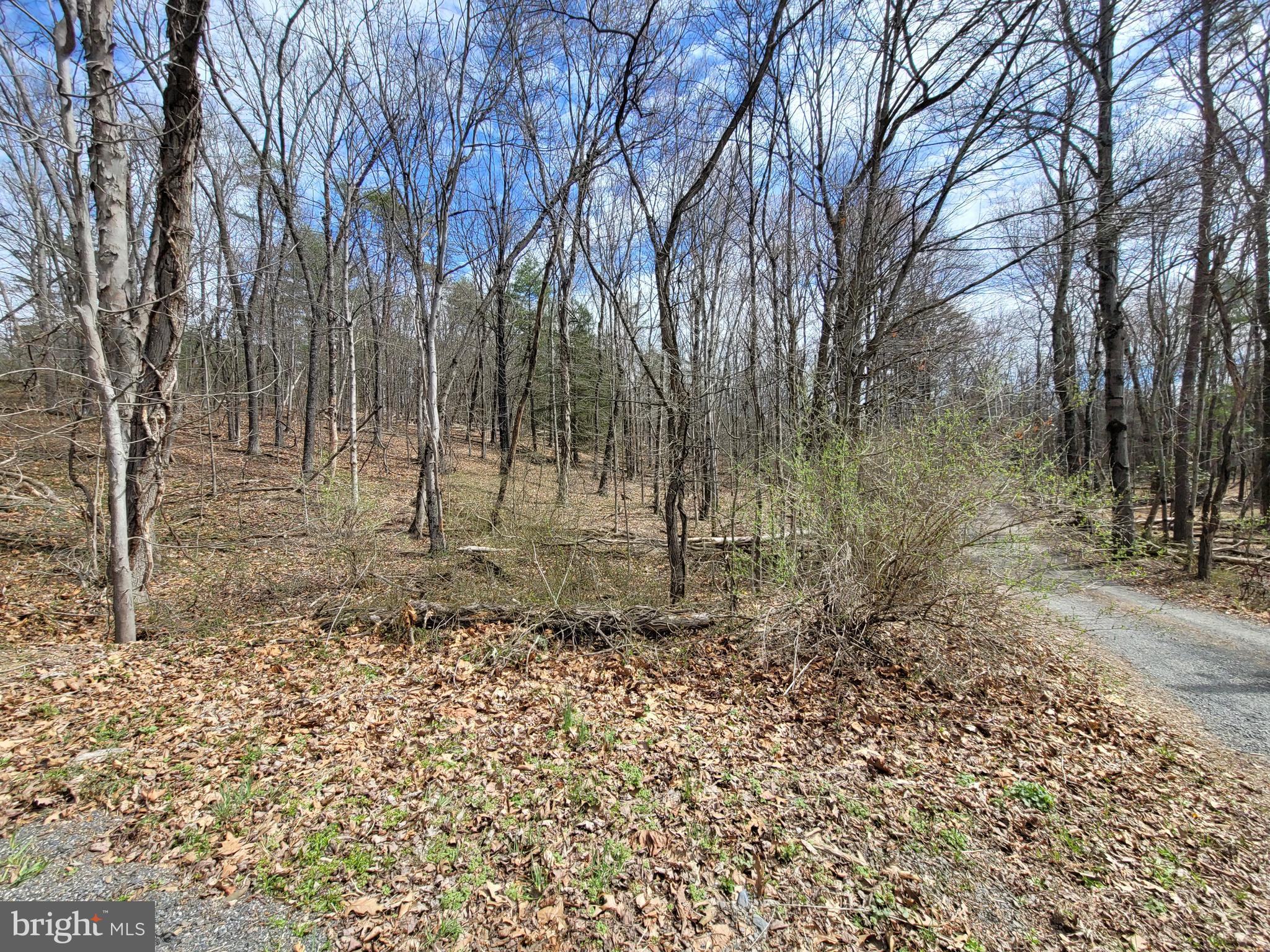 SULPHUR SPRINGS ROAD