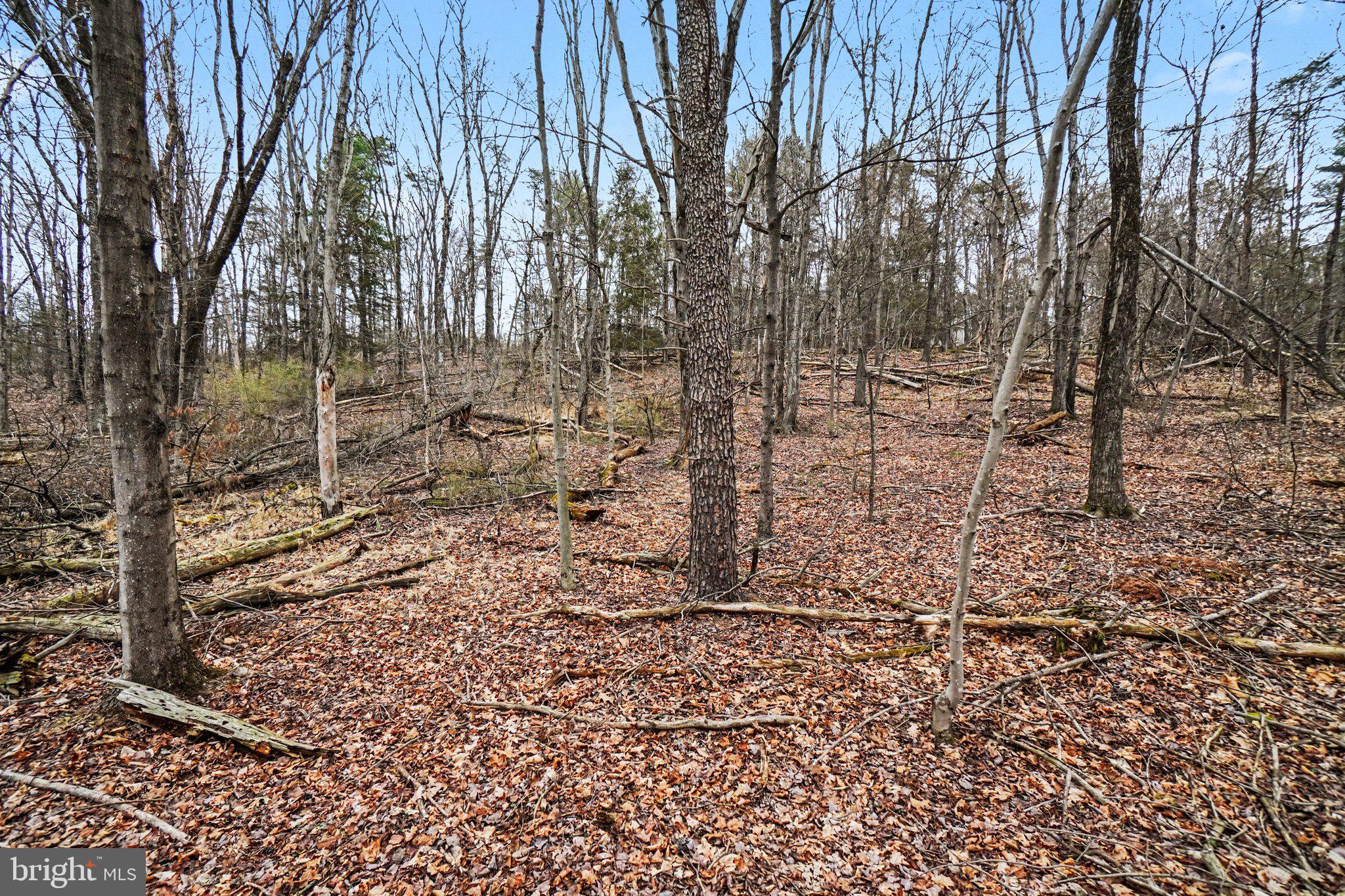 SULPHUR SPRINGS ROAD