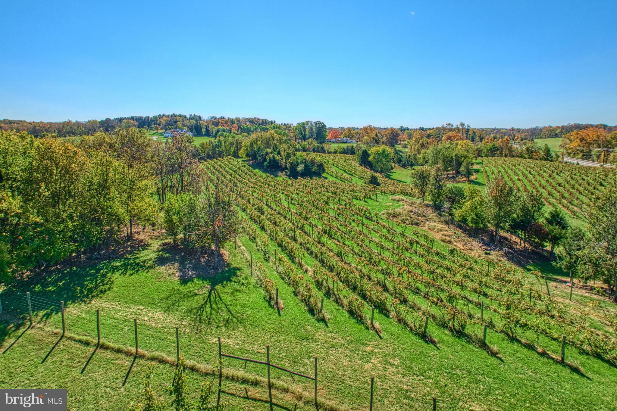 17061 SPRING CREEK LANE