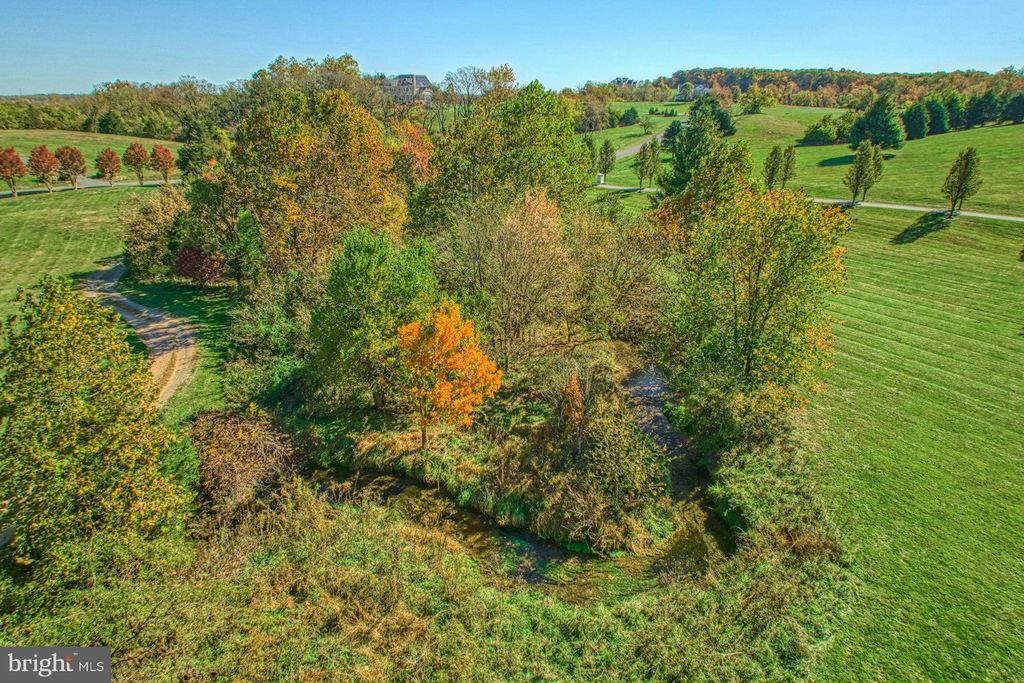 listing image 51
