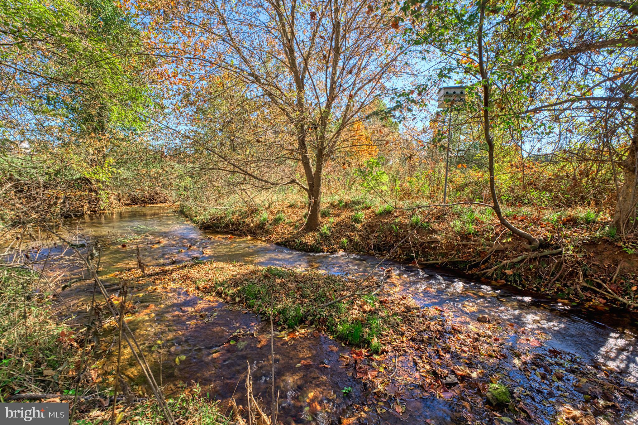 17061 SPRING CREEK LANE
