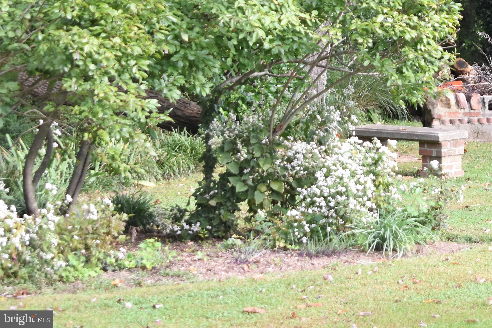 CENTREVILLE - Residential