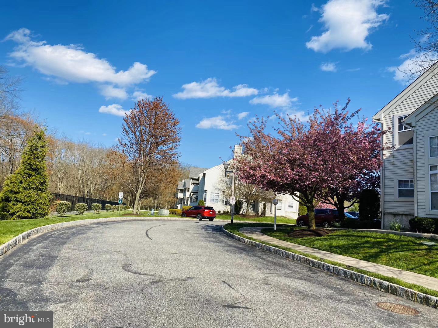 DRESHER WOODS - Residential