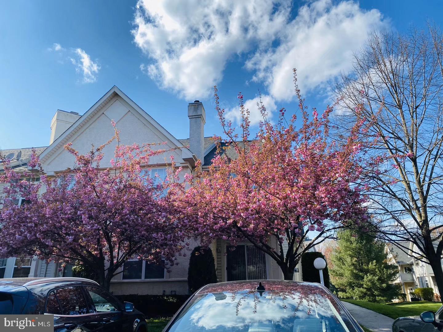 DRESHER WOODS - Residential