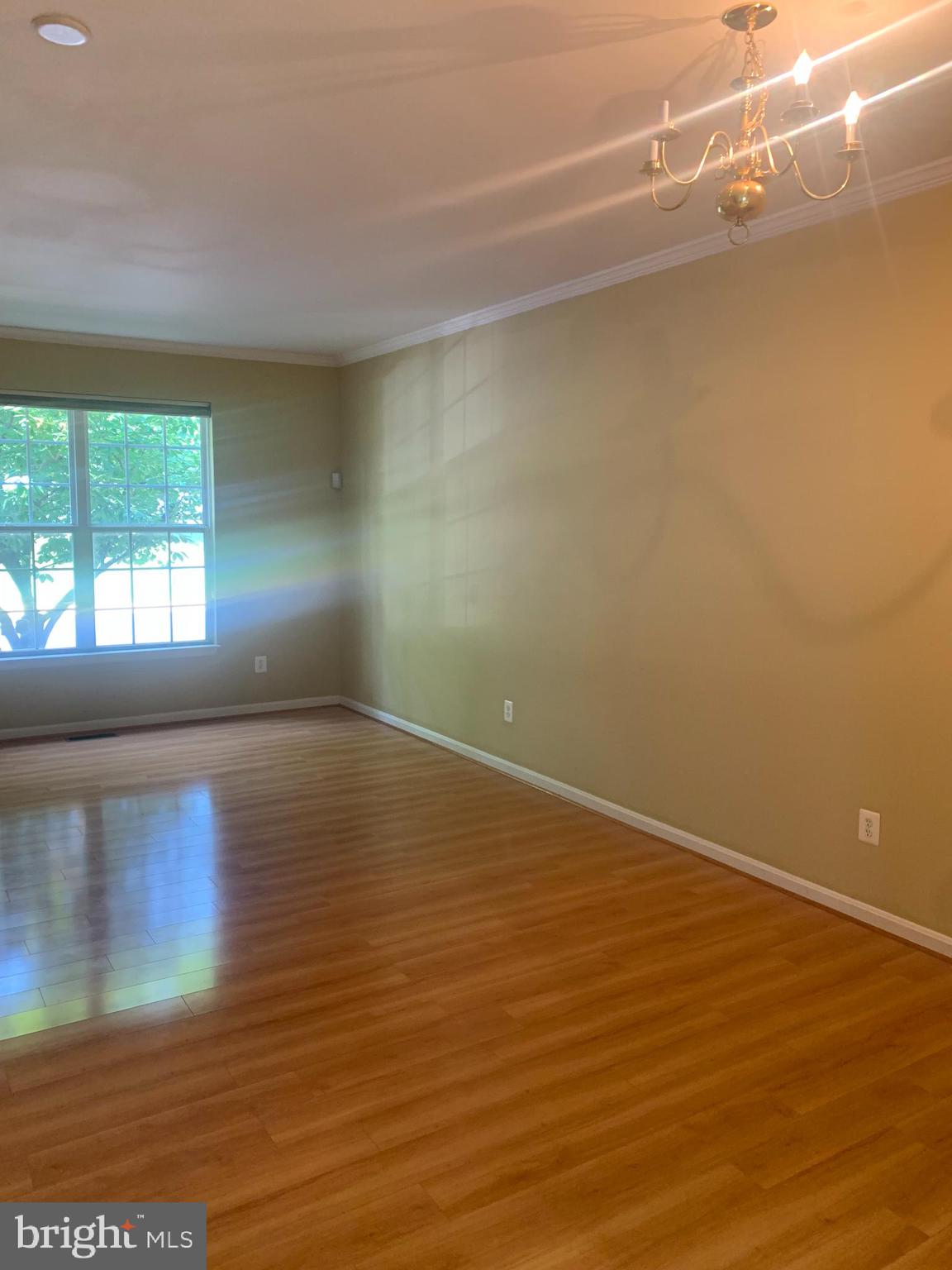 POTOMAC STATION - Residential Lease