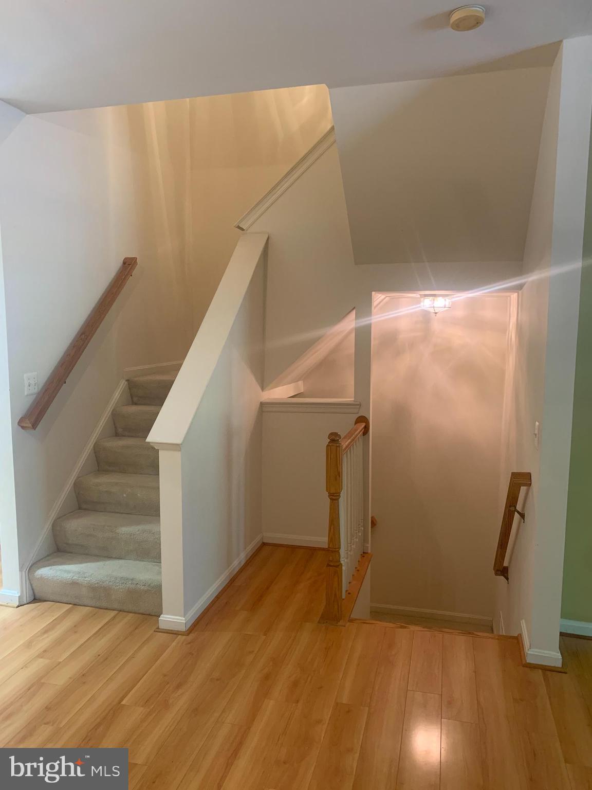 POTOMAC STATION - Residential Lease