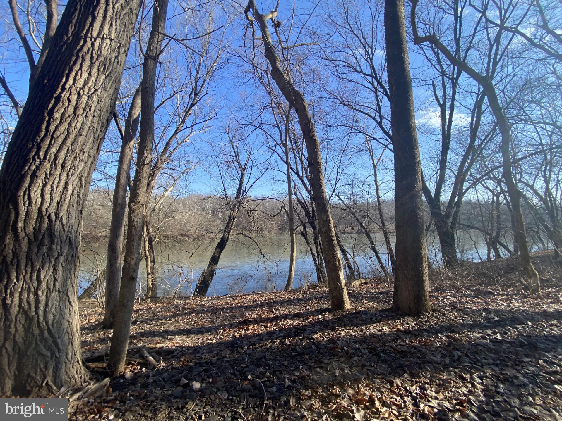 POTOMAC HEIGHTS - Residential