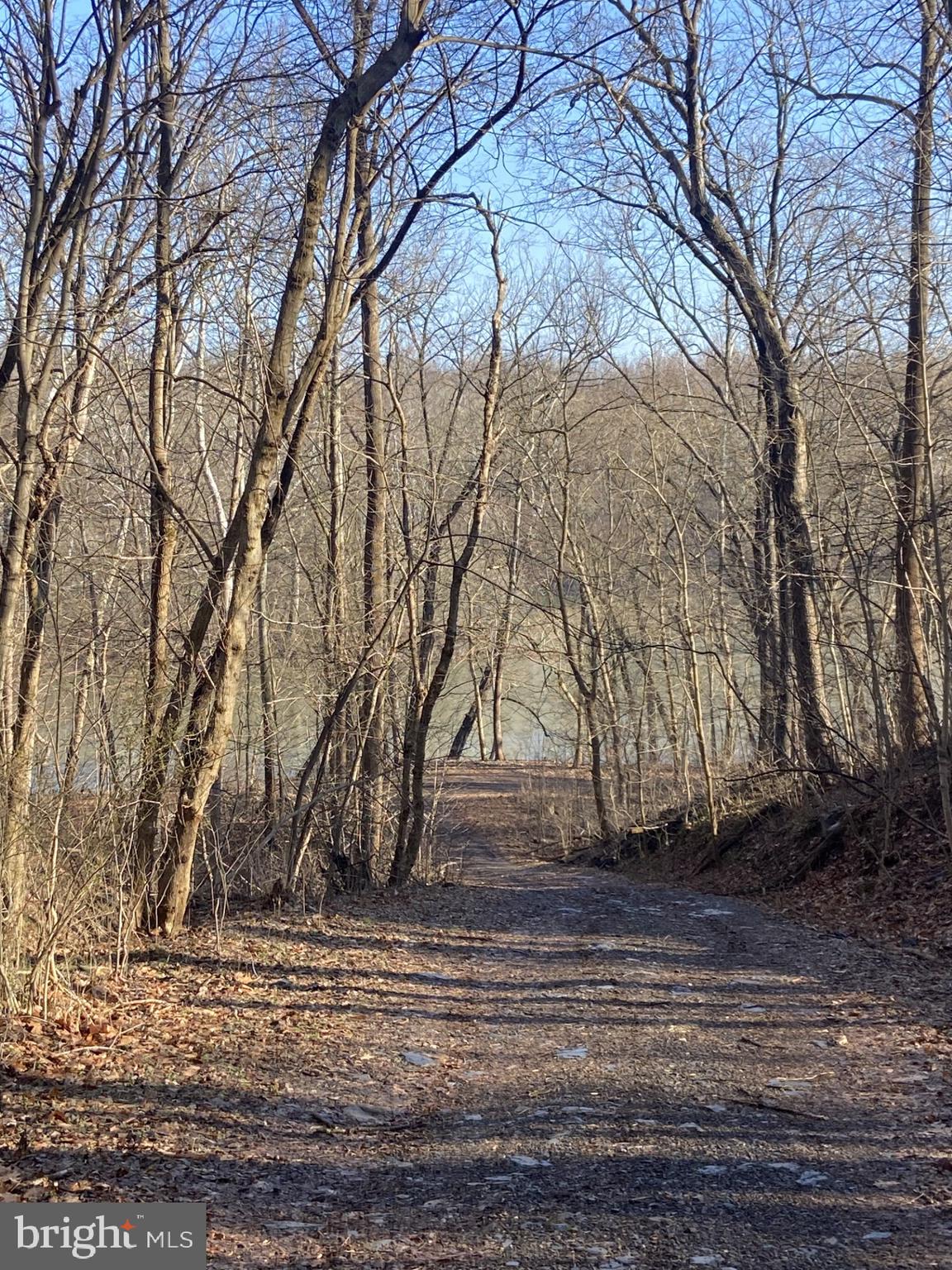 POTOMAC HEIGHTS - Residential