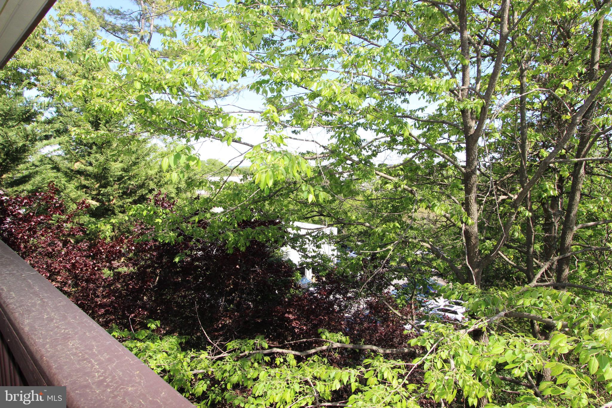 WOODMONT SPRINGS - Residential