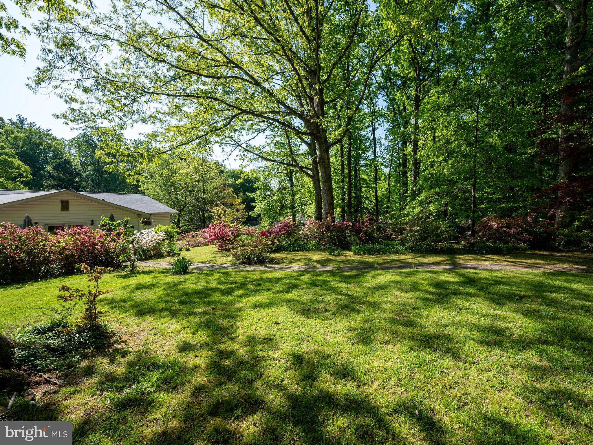 HILLBROOK FOREST - Residential