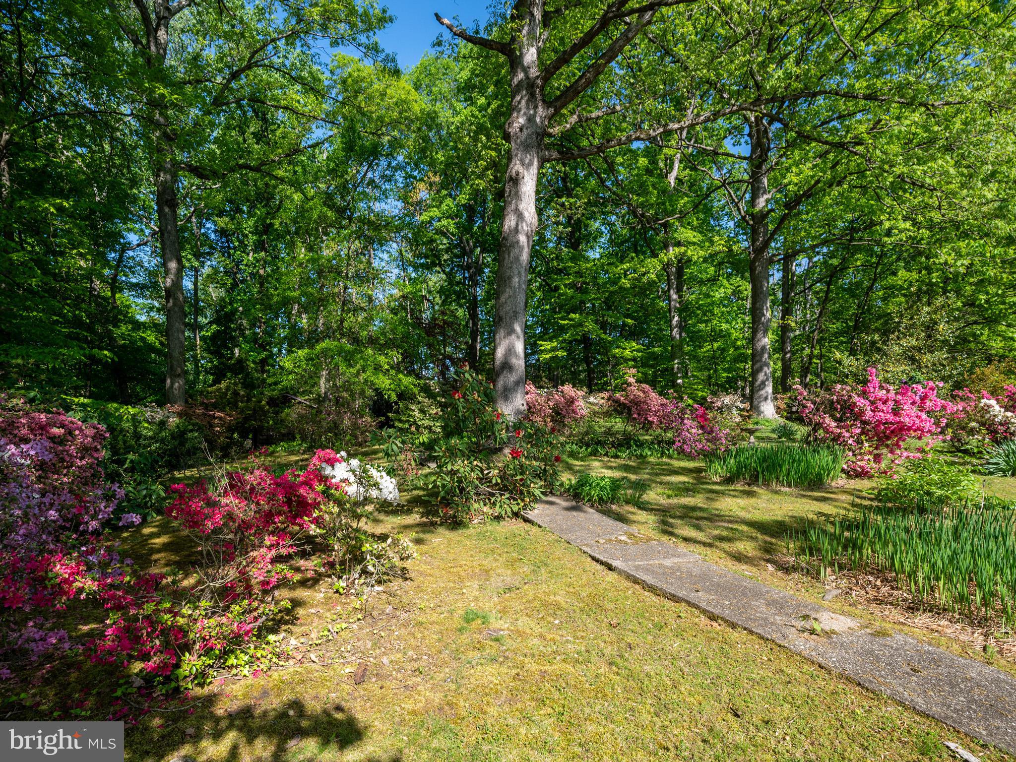 HILLBROOK FOREST - Residential