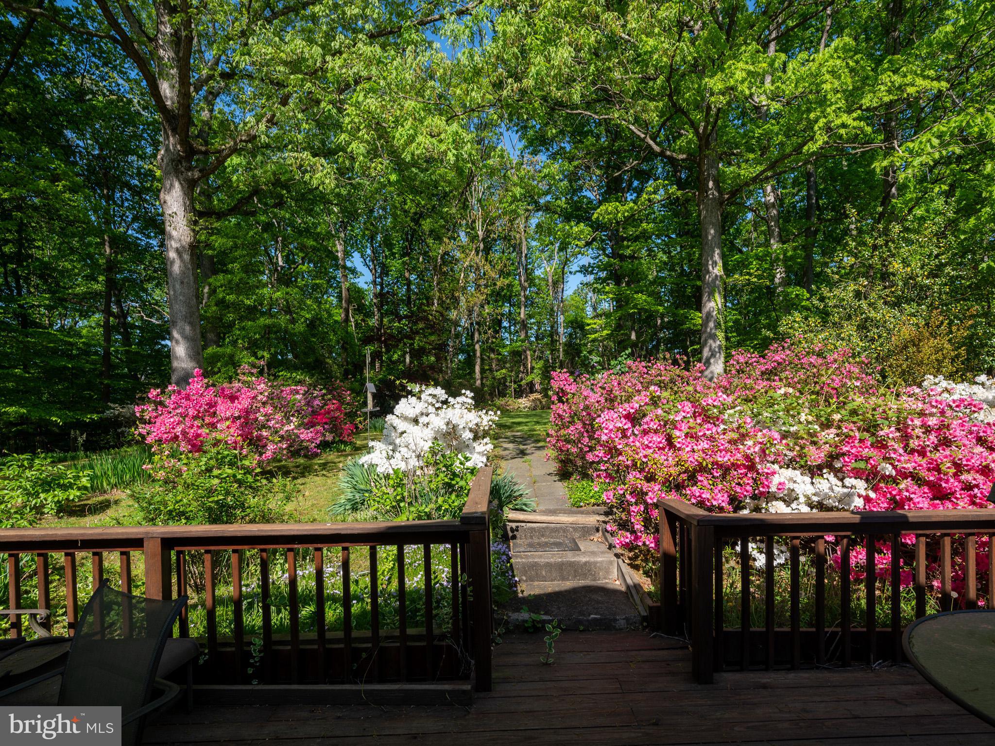 HILLBROOK FOREST - Residential