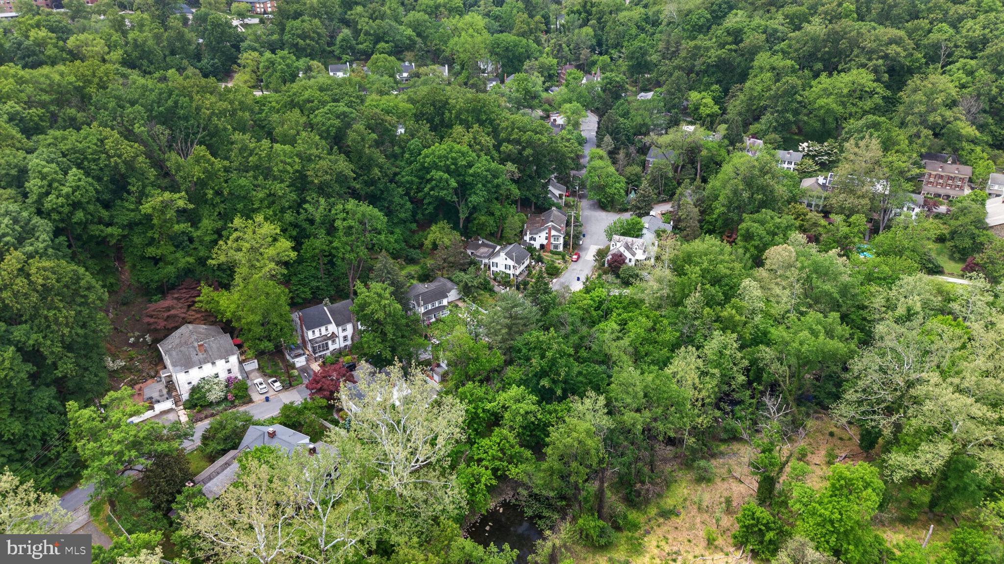 DICKEYVILLE HISTORIC DISTRICT - Residential
