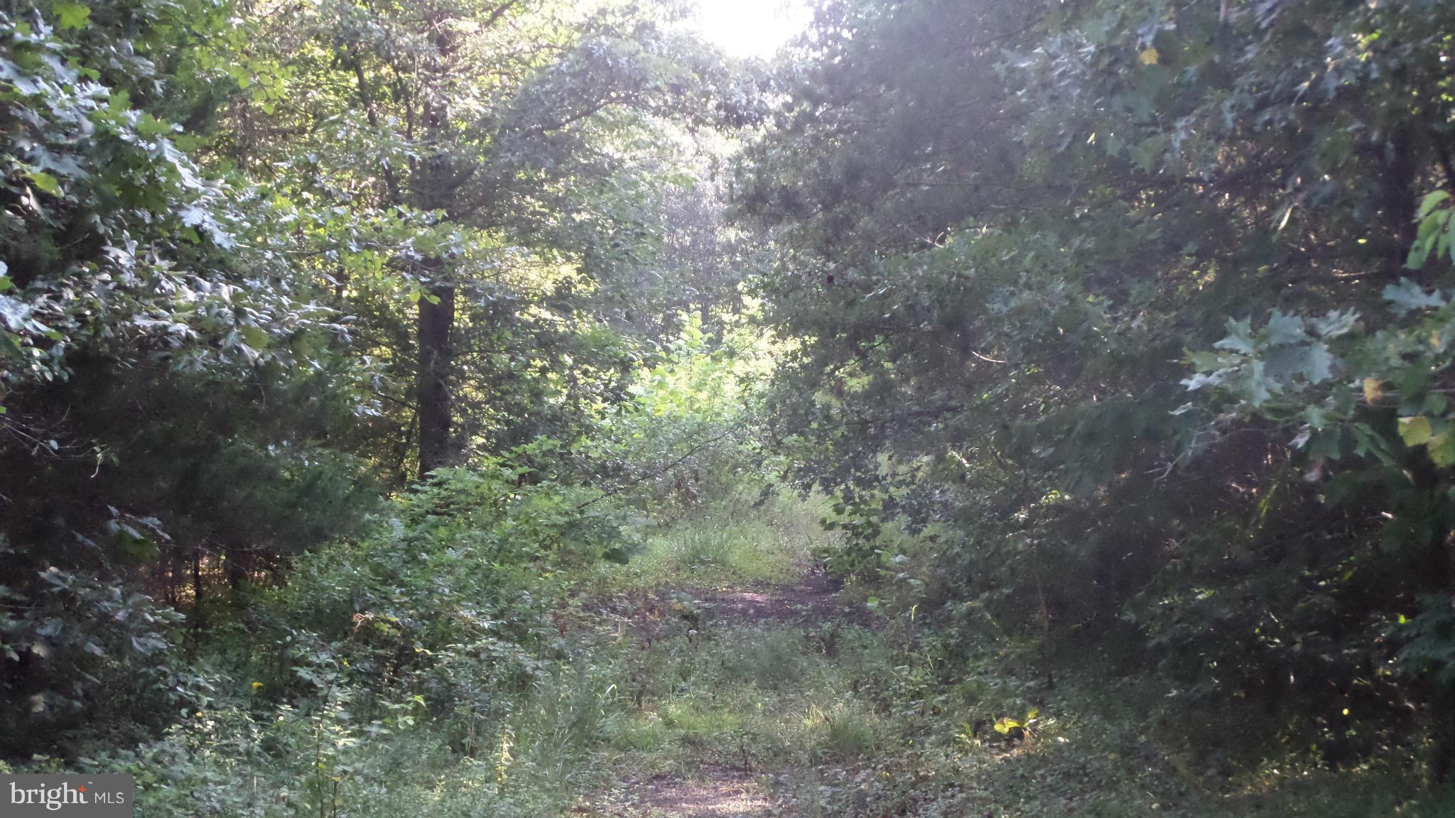 NONE AVAILABLE - Land