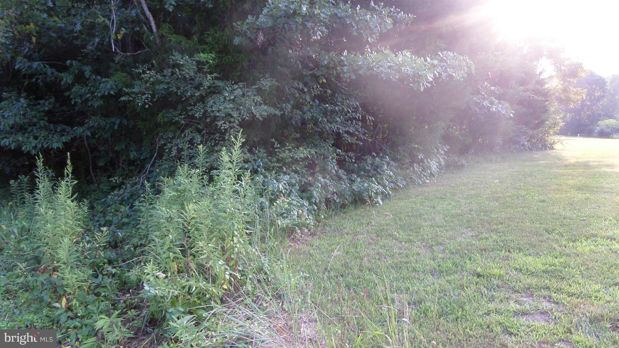 NONE AVAILABLE - Land