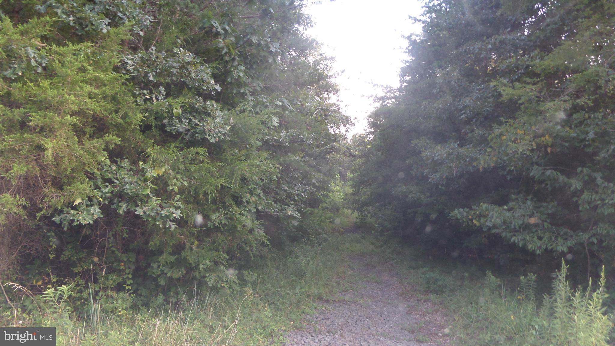 NONE AVAILABLE - Land