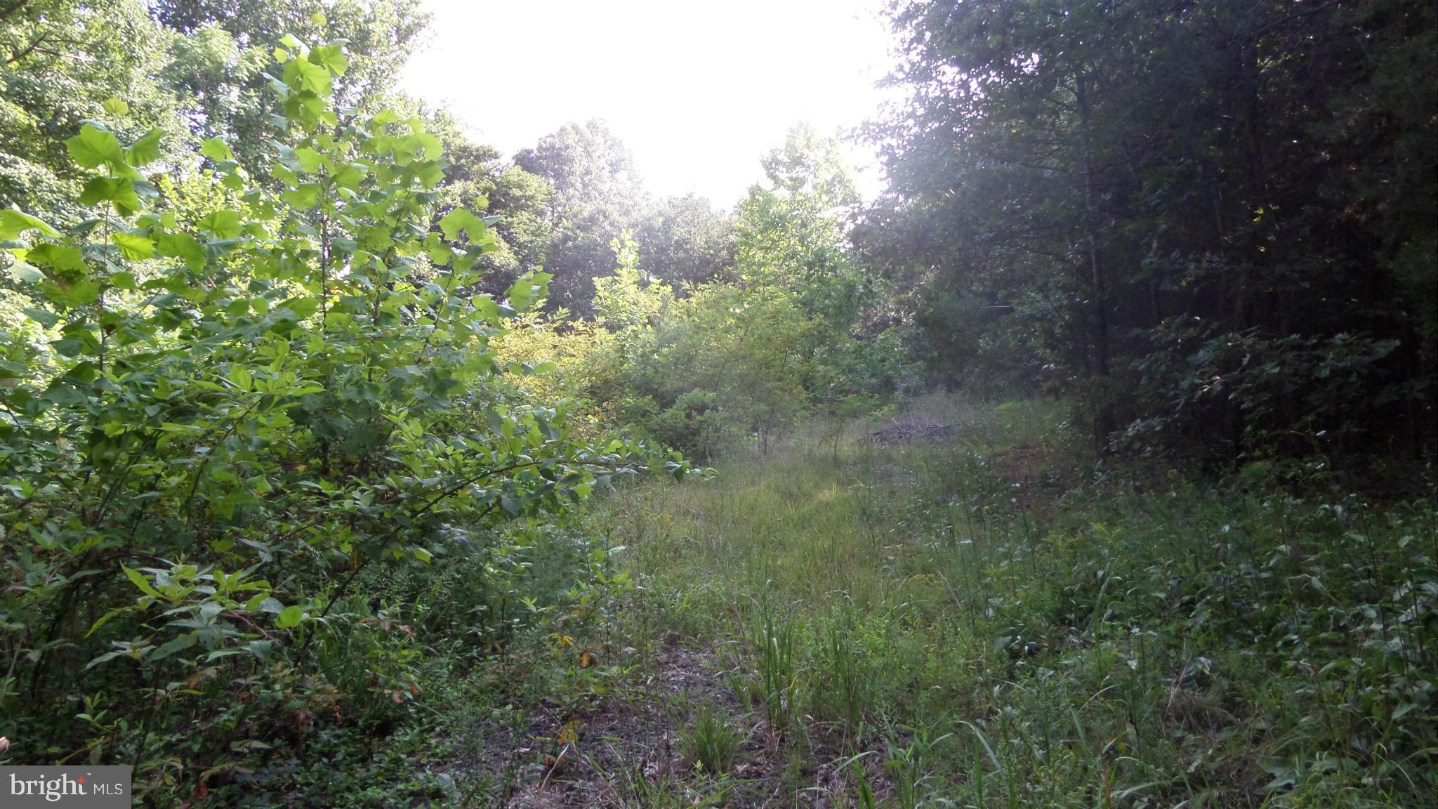 NONE AVAILABLE - Land