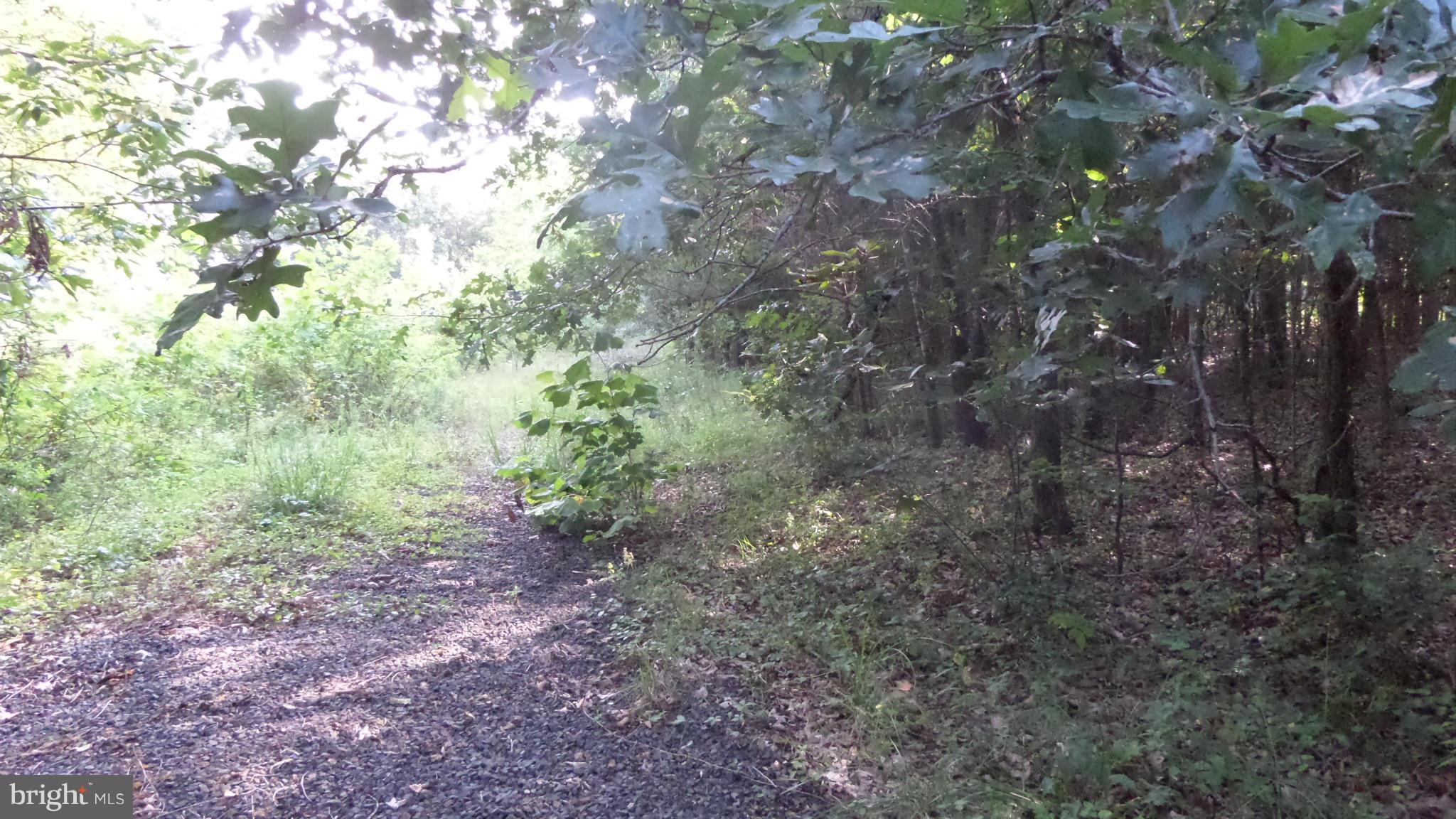 NONE AVAILABLE - Land