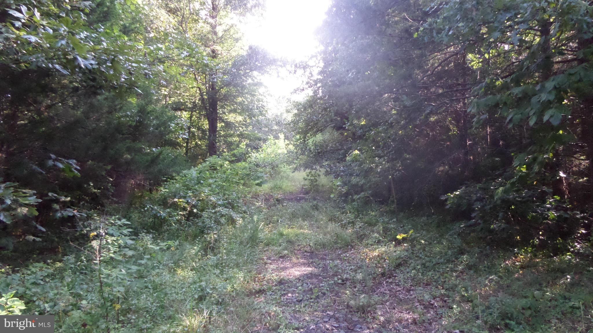 NONE AVAILABLE - Land