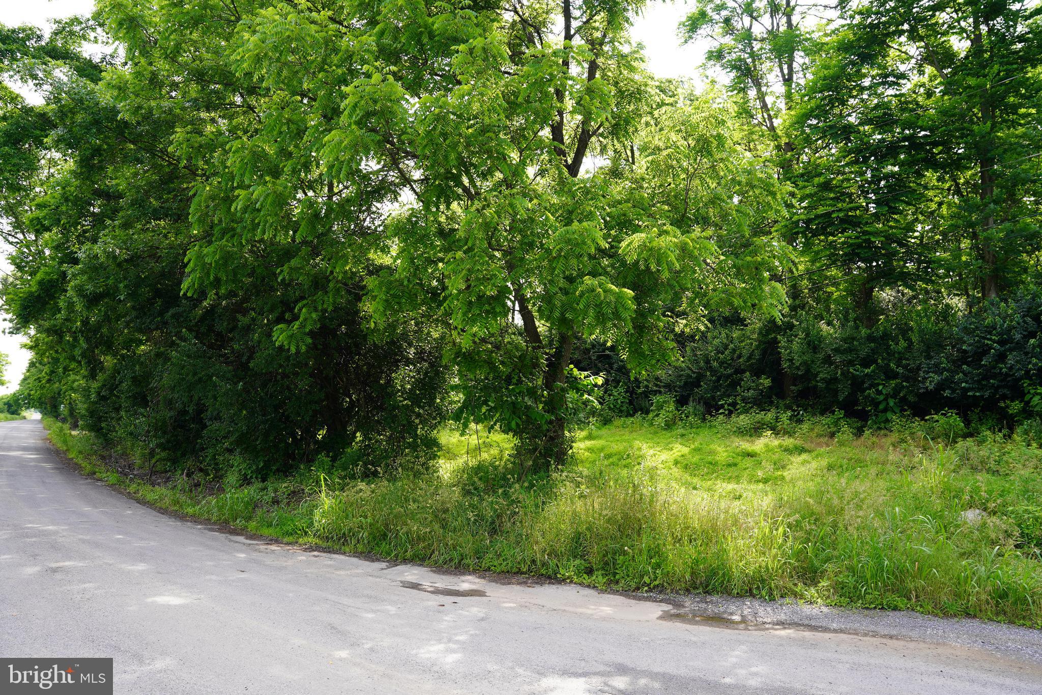 HAROLD DRIVE