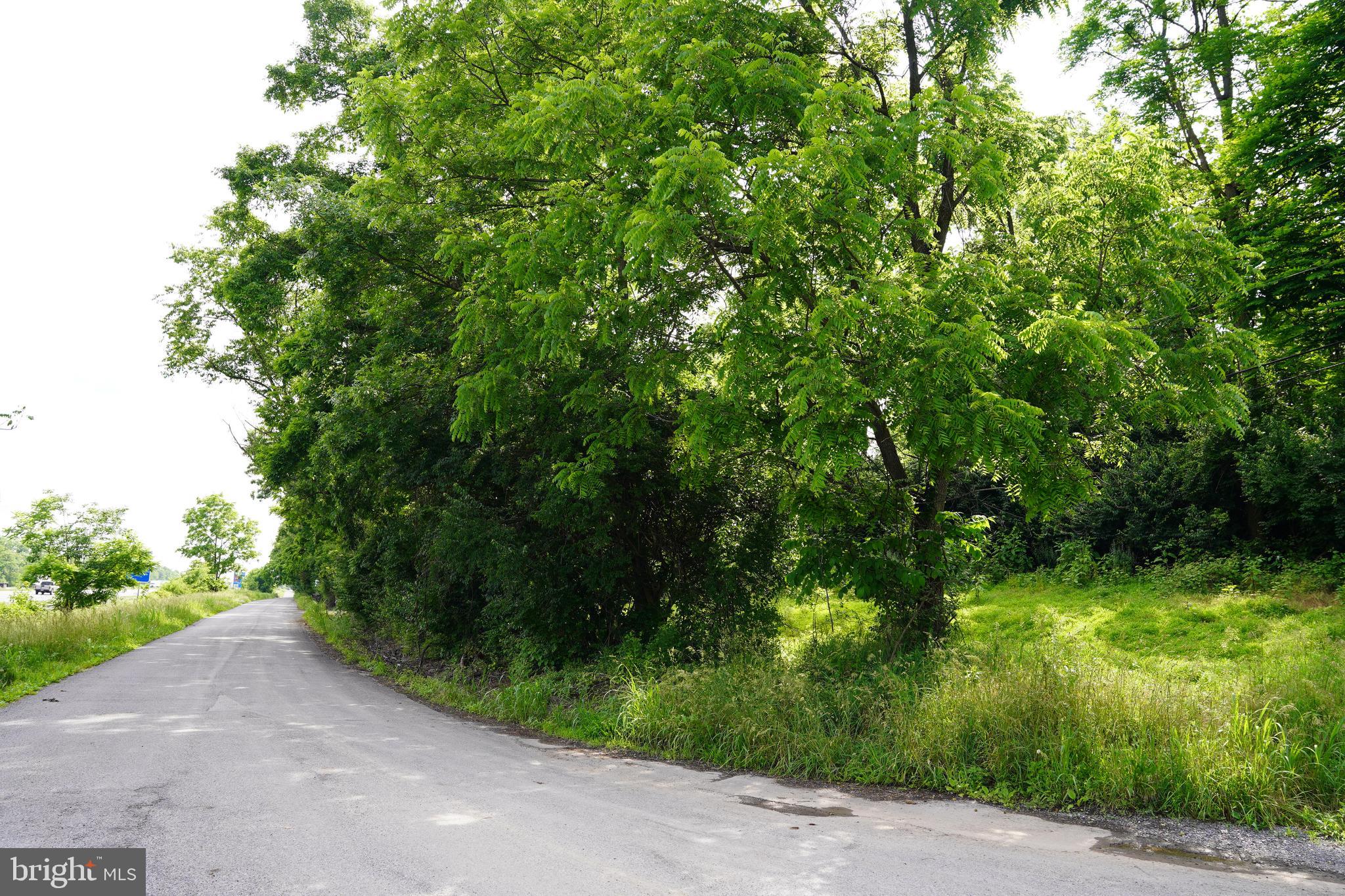 HAROLD DRIVE
