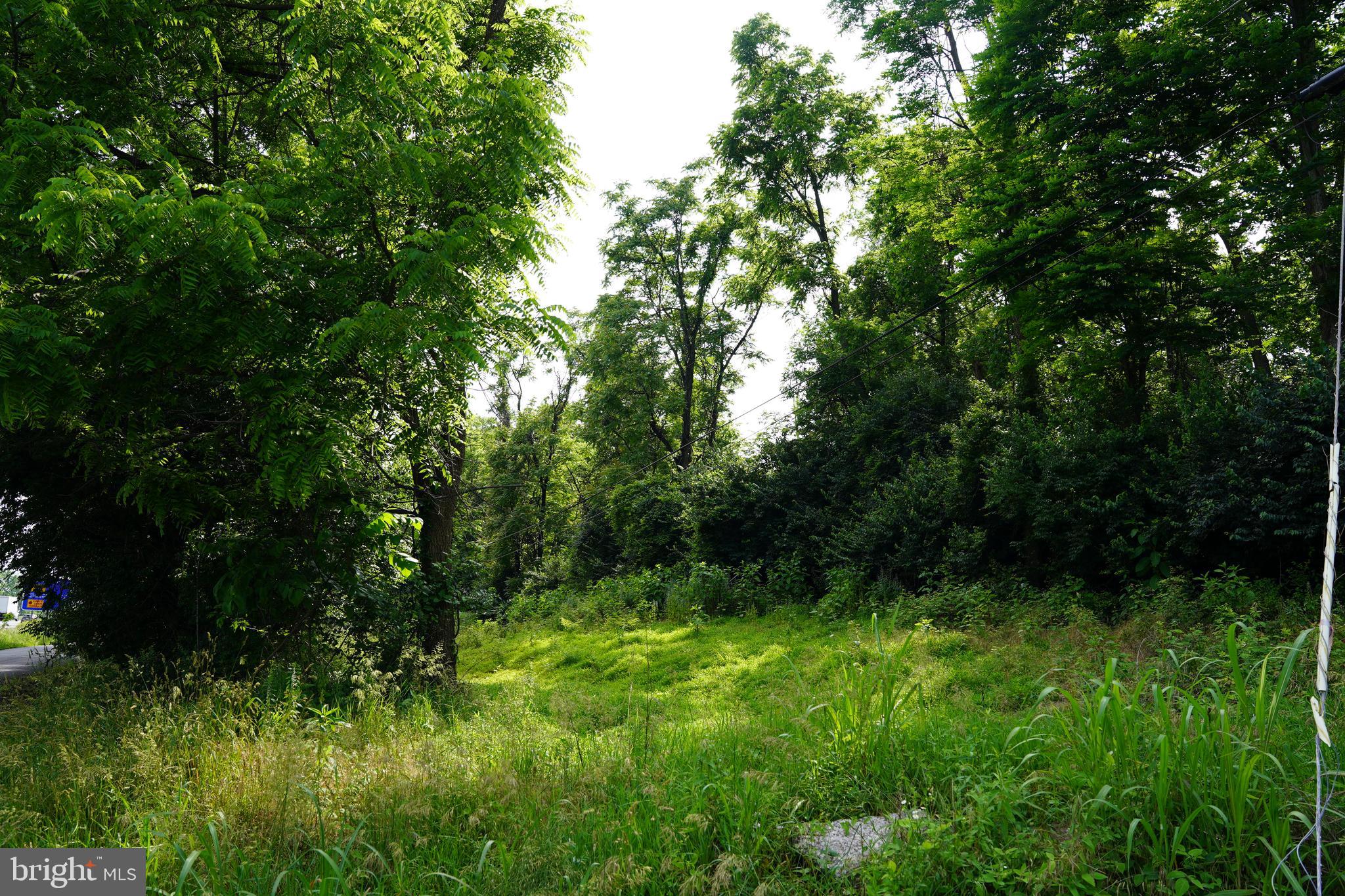 HAROLD DRIVE