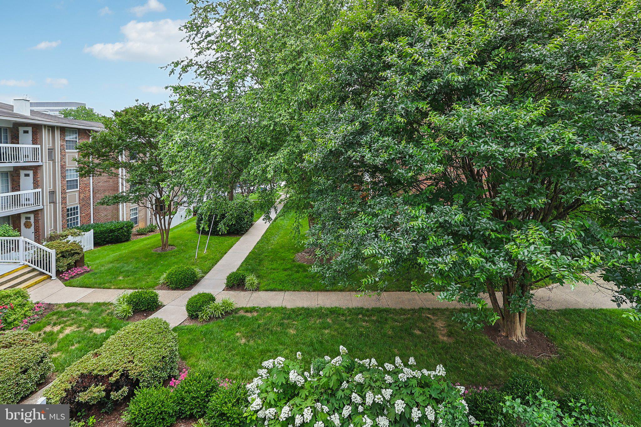 MC LEAN CHASE - Residential