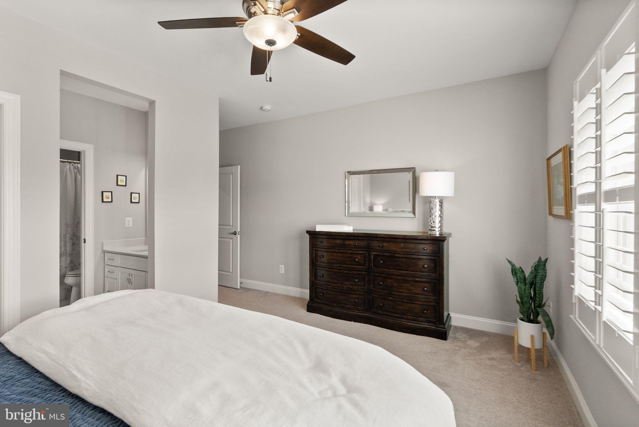 WILLOWSFORD - THE GREENS - Residential