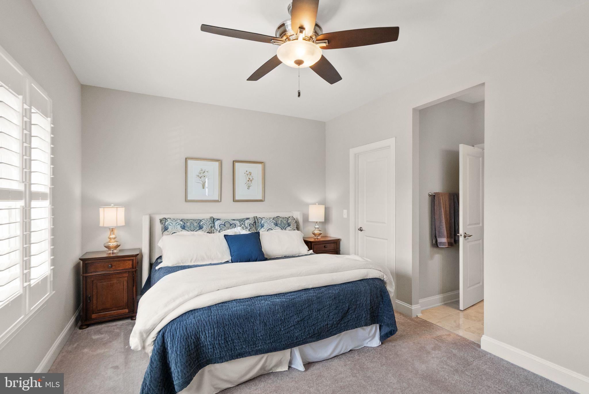 WILLOWSFORD - THE GREENS - Residential