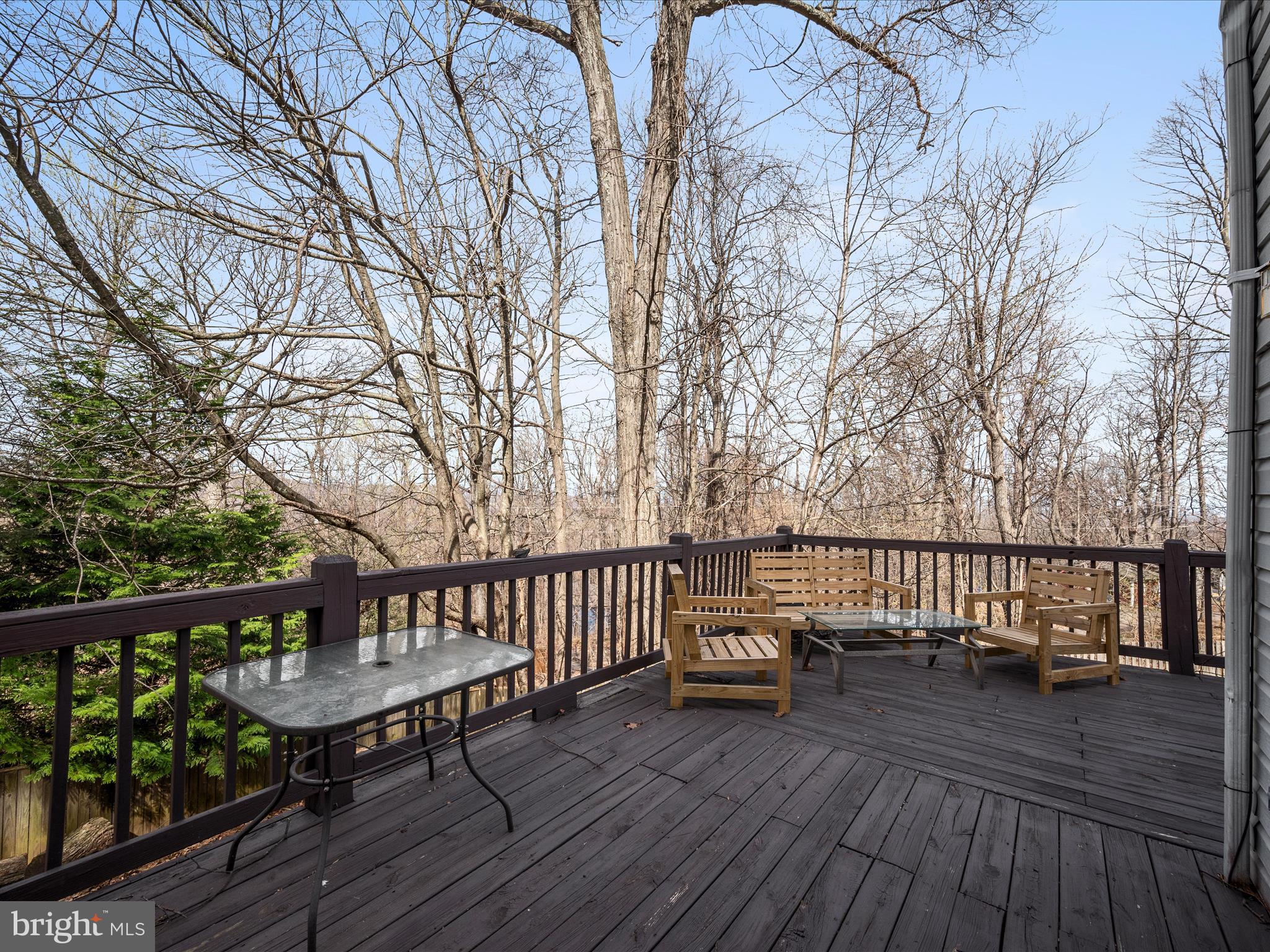 BLUE RIDGE MOUNTAIN ESTATES - Residential