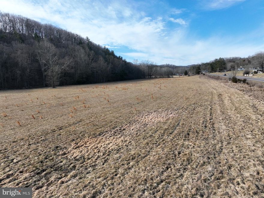 12.59 Acres of Prime Meadowland – River & Highway Frontage in Hampshire County, WV. Big land, big opportunity. This 12.59-acre tract is perfect for the buyer who values space, freedom, and investment potential. With frontage on the North Fork of the Little Cacapon River and high-visibility access to US Route 50, this property offers unmatched versatility—ideal for commercial development, agriculture, recreation, or long-term investment. Located just 5 miles east of Romney and under two hours from Washington, D.C., this land provides easy access while maintaining the wide-open feel of the West Virginia countryside. Most of the site sits in the floodplain, making it an excellent fit for farming, outdoor recreation, or other creative uses. Opportunities like this don’t sit on the market forever. Call today to lock in your piece of prime Hampshire County real estate!