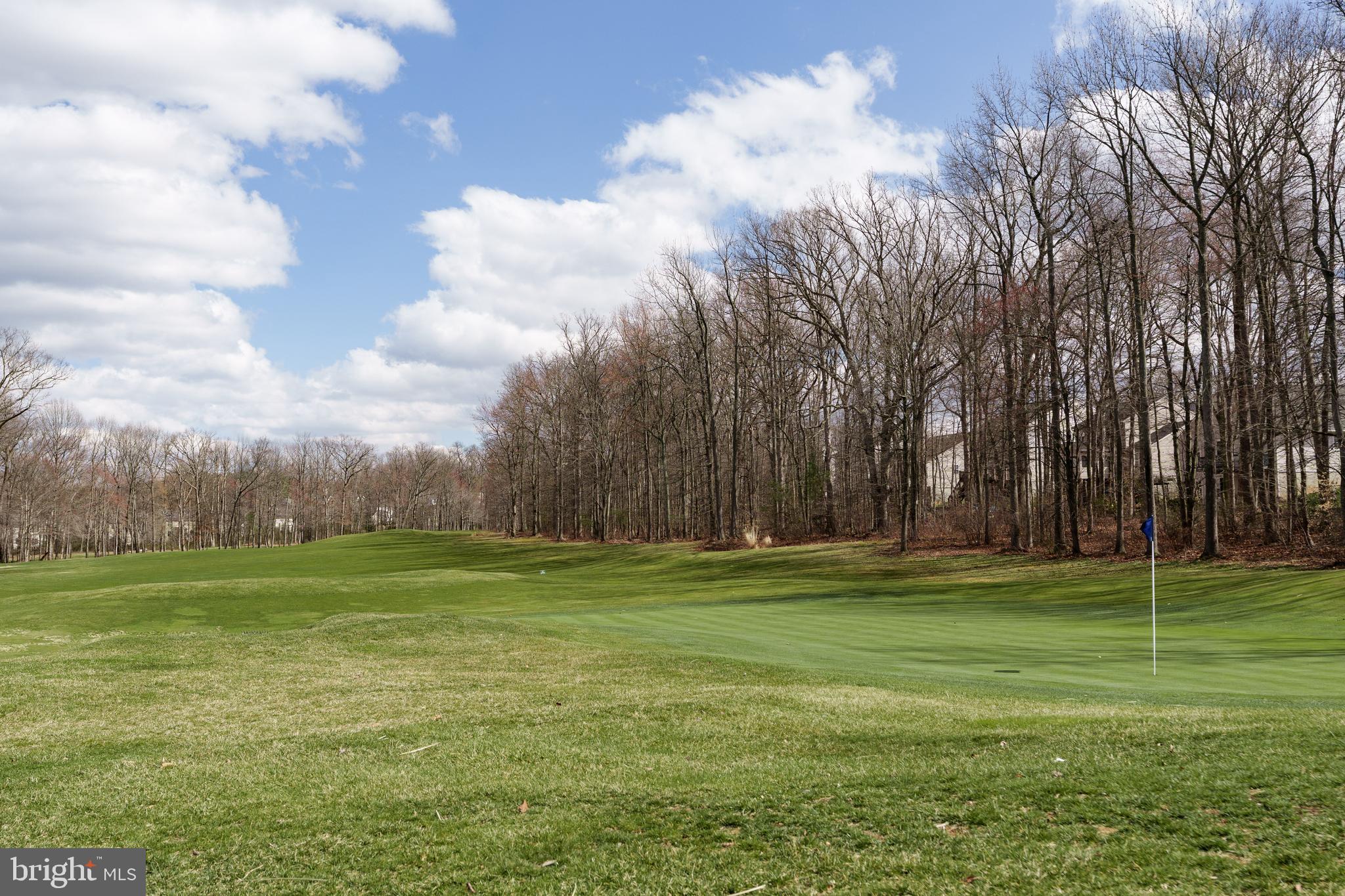 CLUB AT PATRIOTS GLEN - Residential