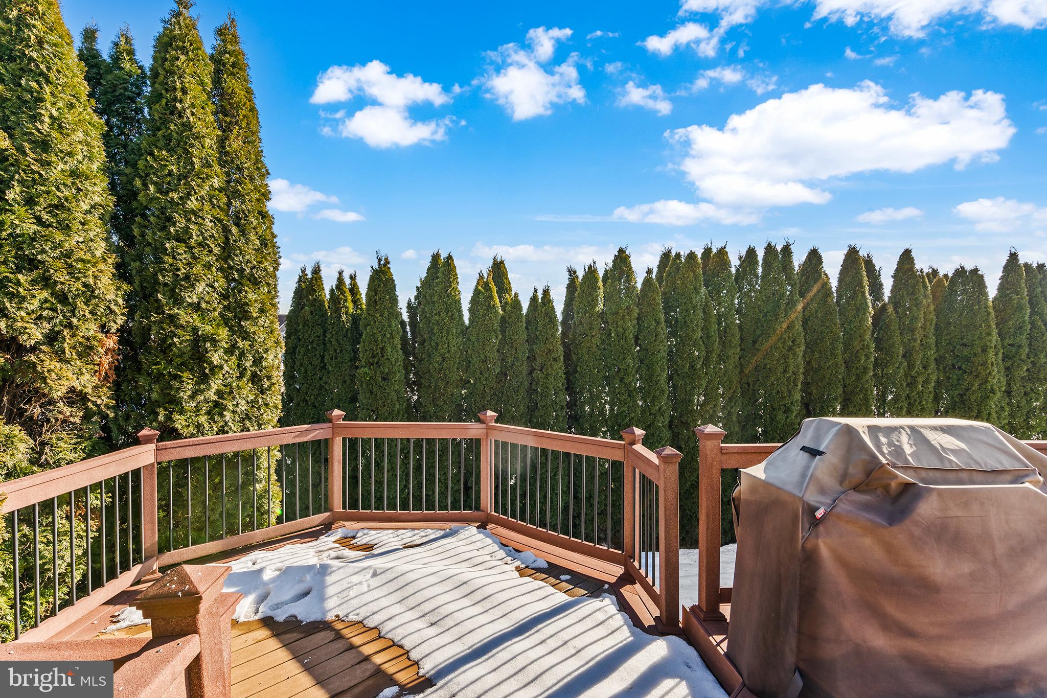 FOX RUN ESTATES - Residential