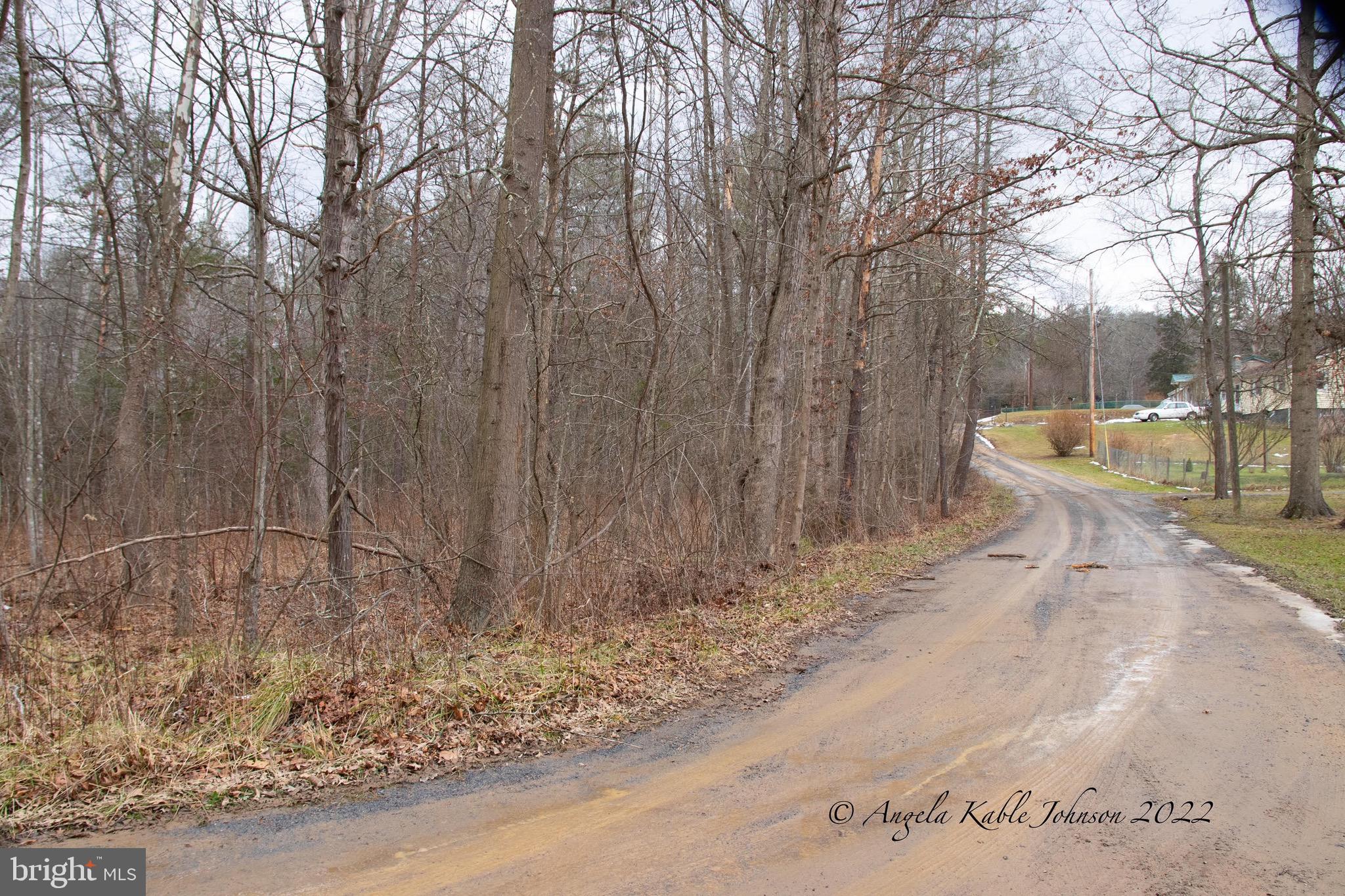 Beautiful almost 1 acre lot in Capon Bridge. Perfect for Camping or permanent home along the Cacapon River. Front portion of the lot is in the Flood Zone, but lot is sloping and has a higher portion with which to build. Nice, quiet neighborhood in the heart of Wild and Wonderful, yet close to Winchester and 81 for travel and shopping. Call today to see this one!