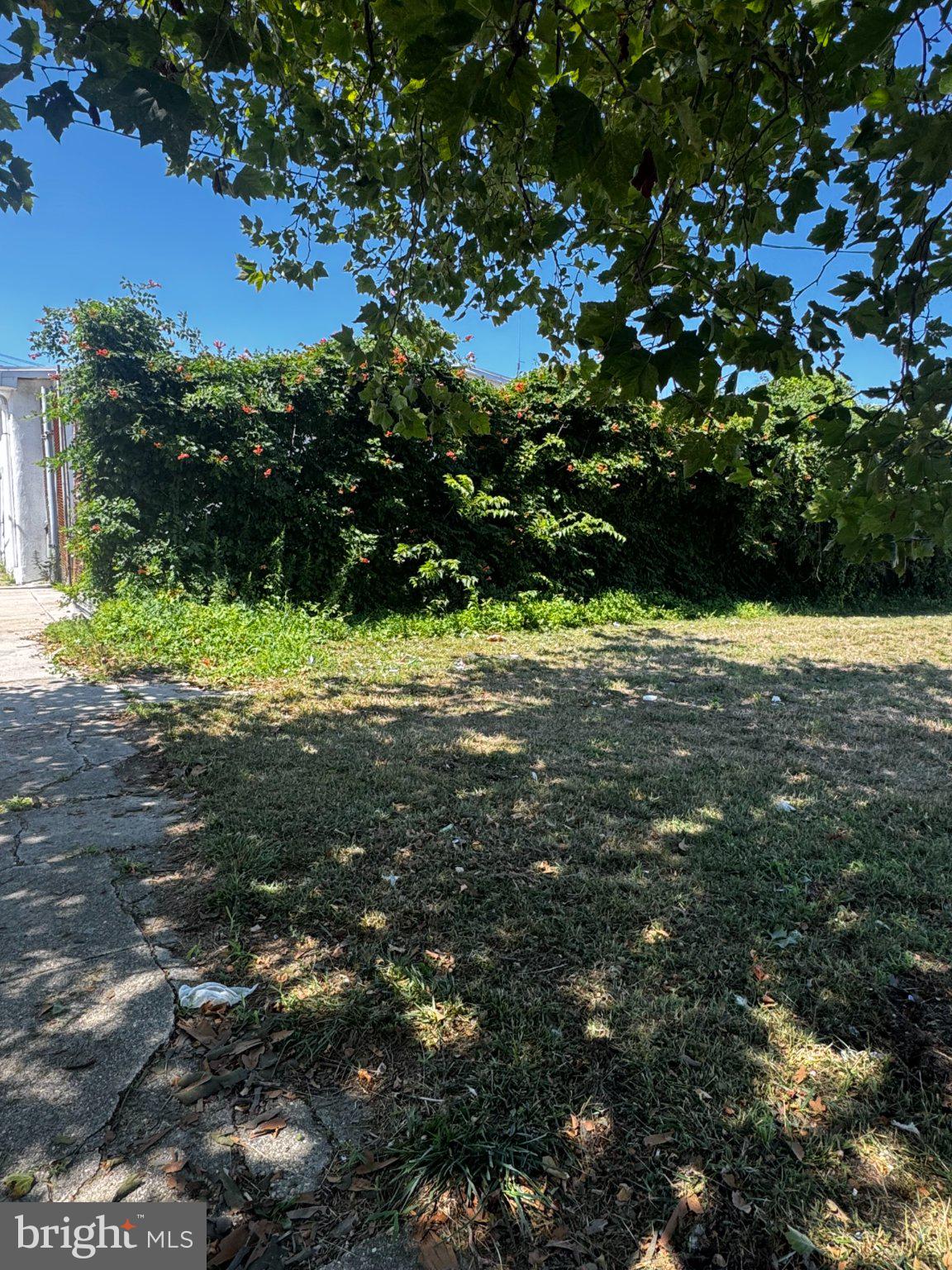 343 N DELAWARE AVENUE