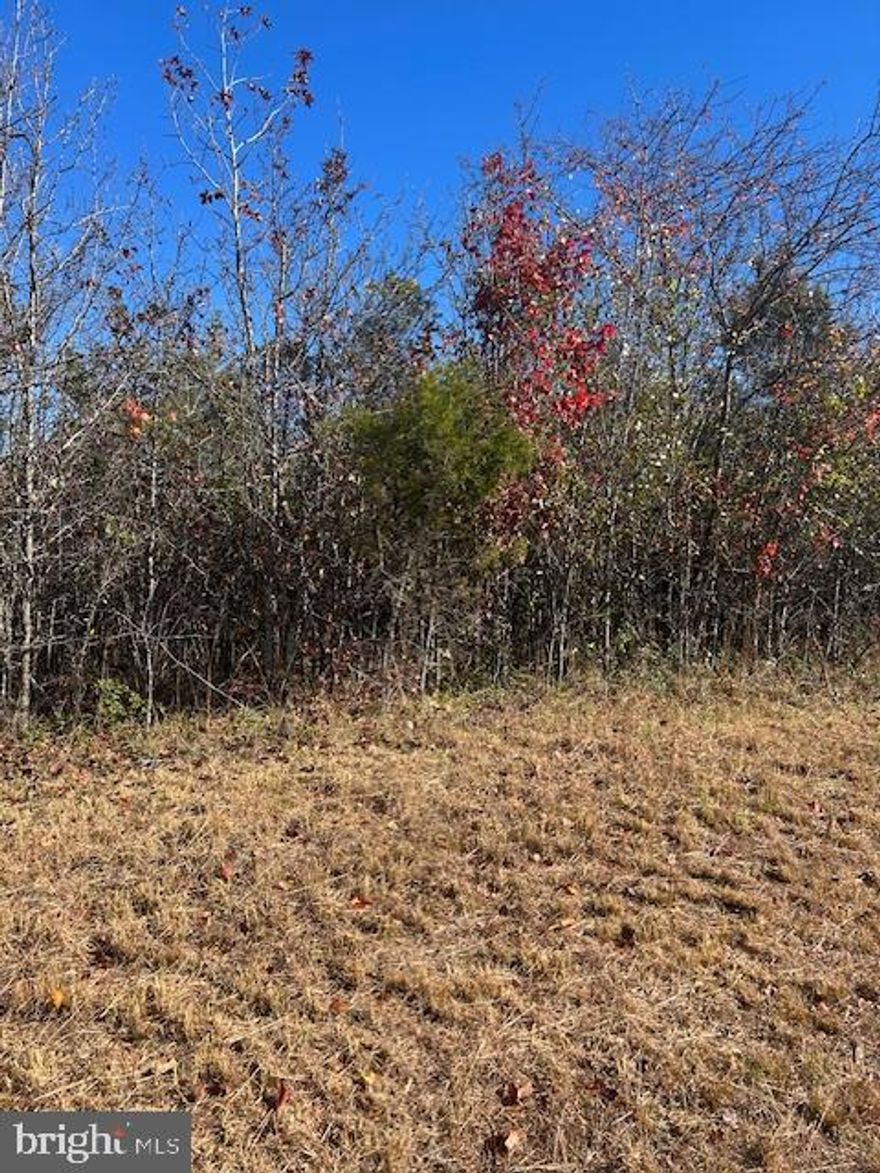 Explore the possibilities with 7390 Chicamuxen Rd, a 4-acre lot in the scenic and peaceful countryside of Indian Head, MD. These spacious wooded lots offer the perfect setting for a private homesite, family compound, or investment opportunity. With generous road frontage along Chicamuxen Road and a serene natural landscape, the property provides privacy while still allowing easy access.

Located just minutes from Indian Head, Bryans Road, and convenient commuter routes into the D.C. metro area, this location balances rural tranquility with modern convenience. The land is ideal for those seeking space, nature, and the freedom to build according to their vision.

Buyer to verify zoning, subdivision potential, percolation status, and utility availability.